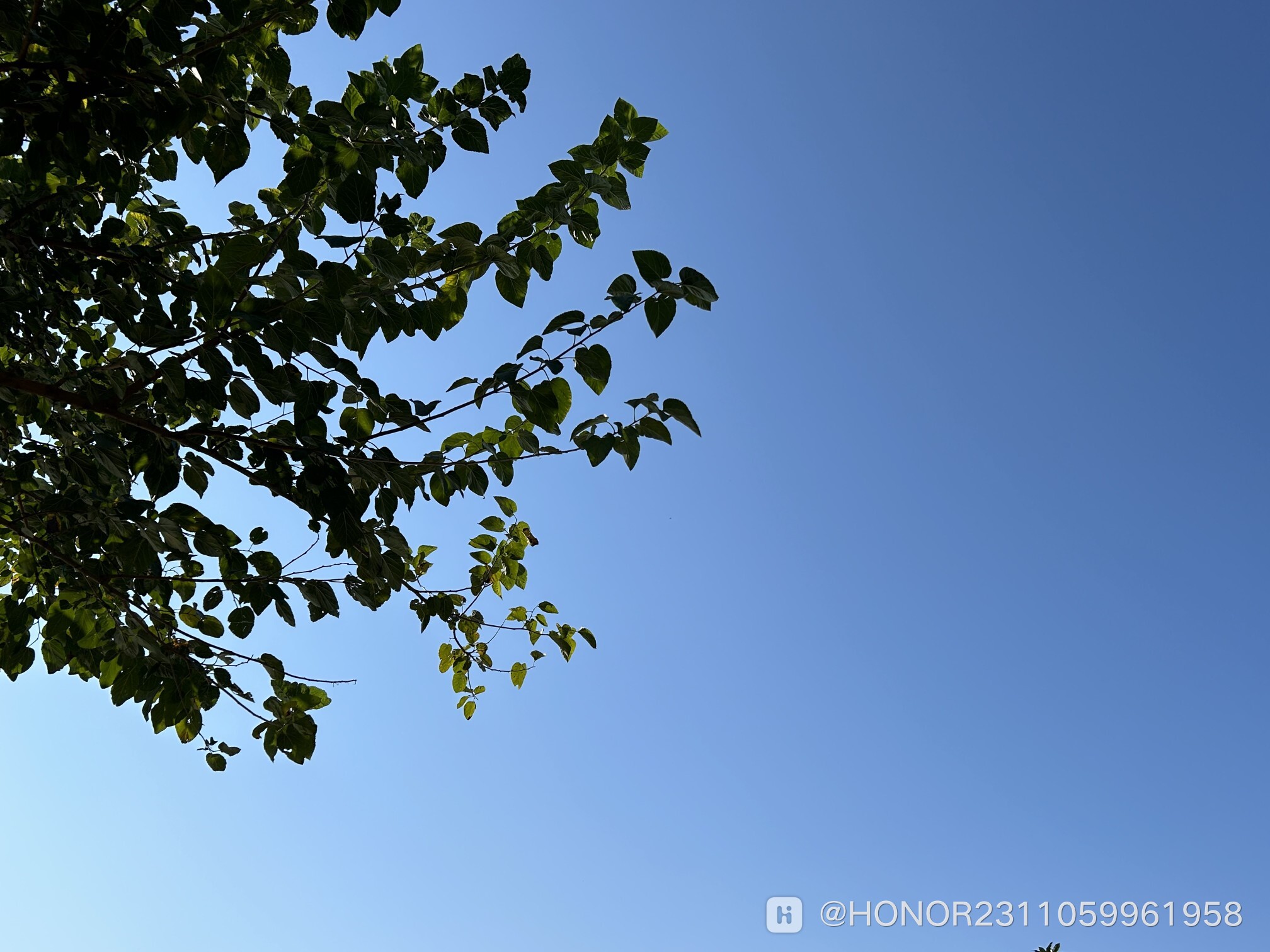 Image_1698820163835.jpg