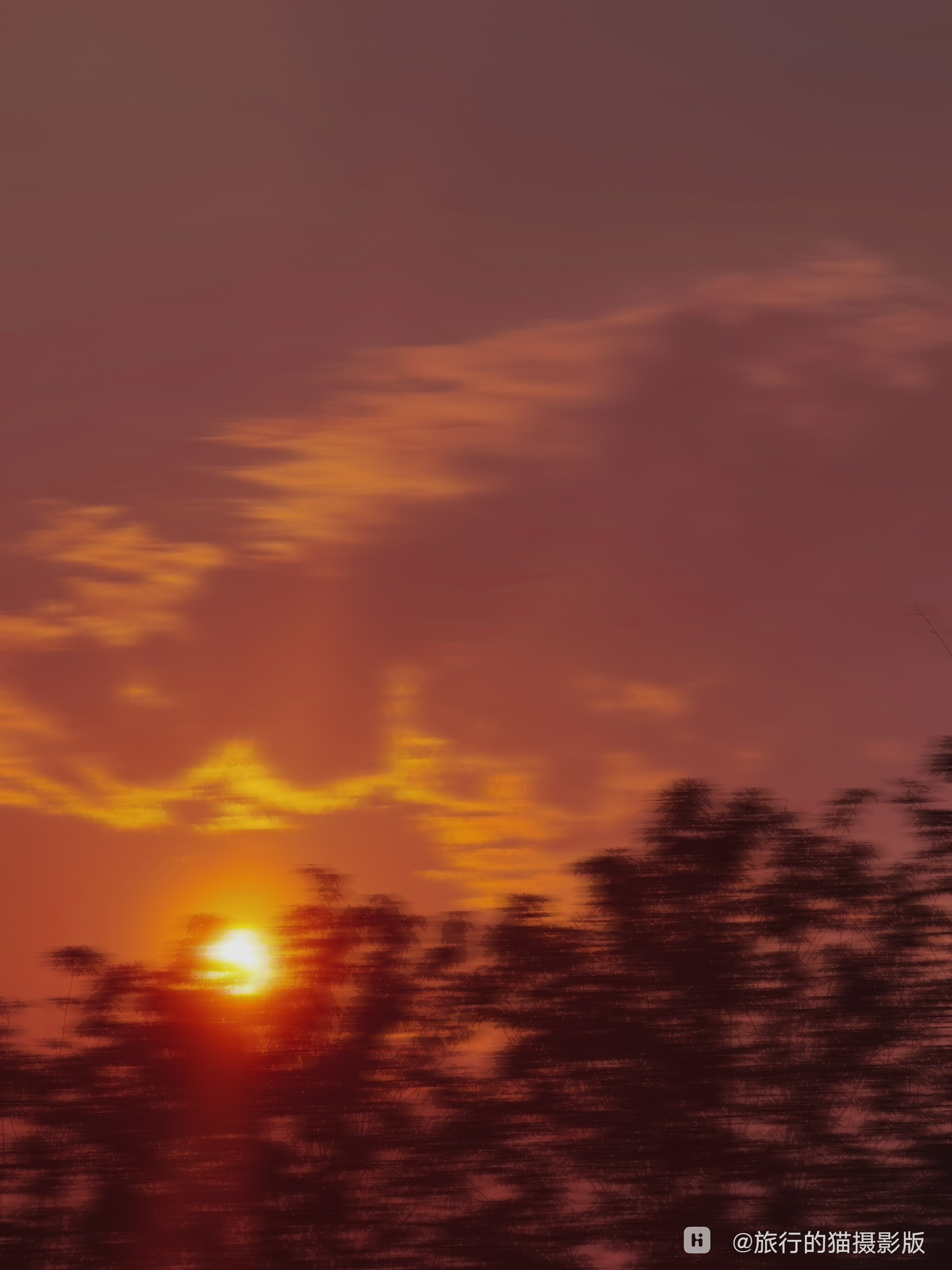 retouch_2023112520204326.jpg.jpg