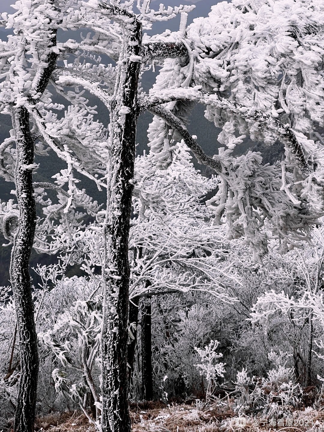 retouch_2023122015251993.jpg