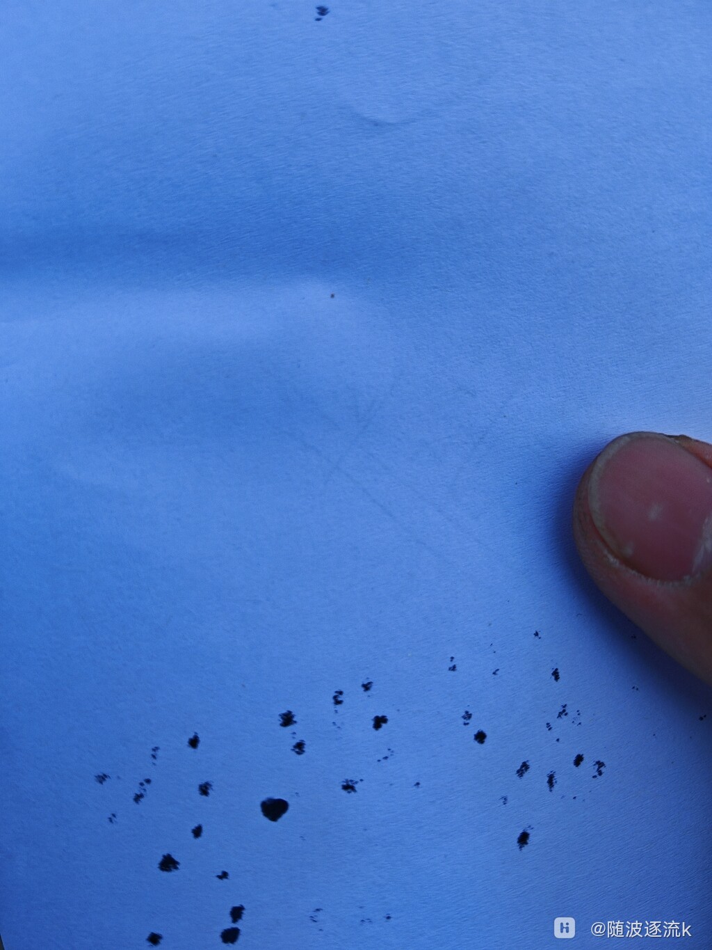 相机拍白纸都是蓝色了你们有吗123版本