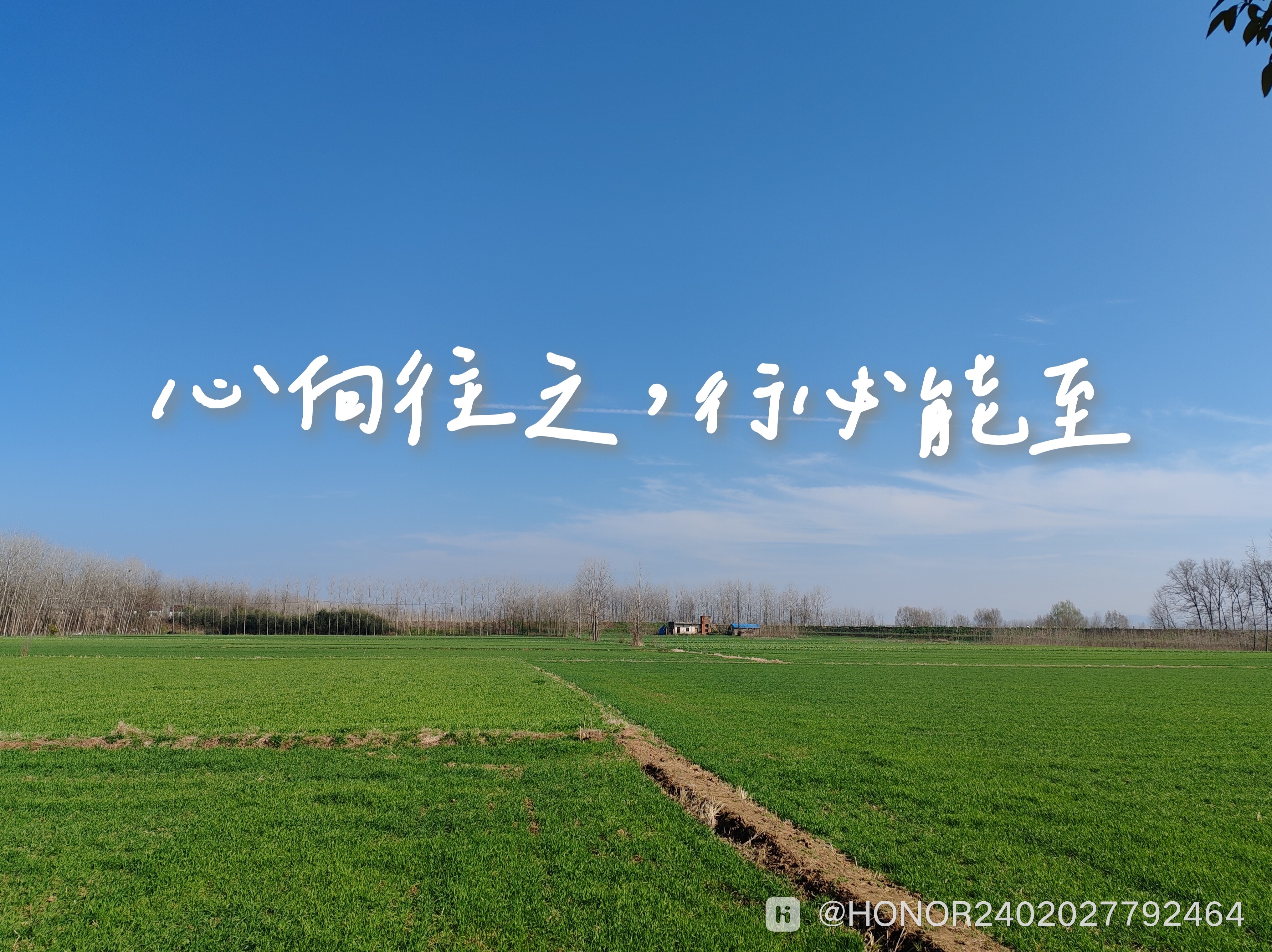 IMG_20240319_220224.jpg