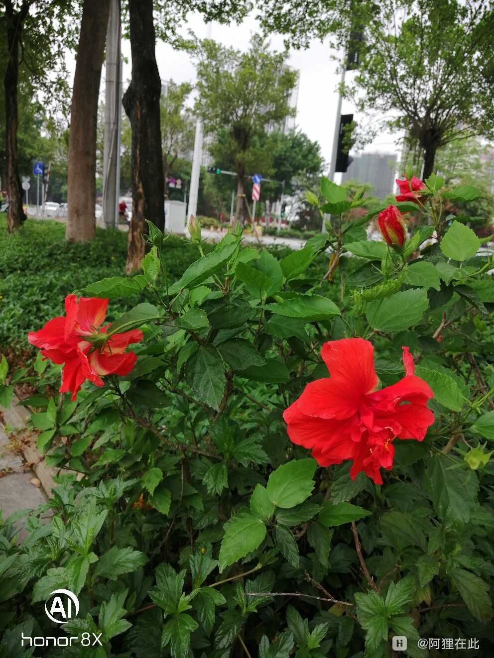 IMG_20240412_104143.jpg