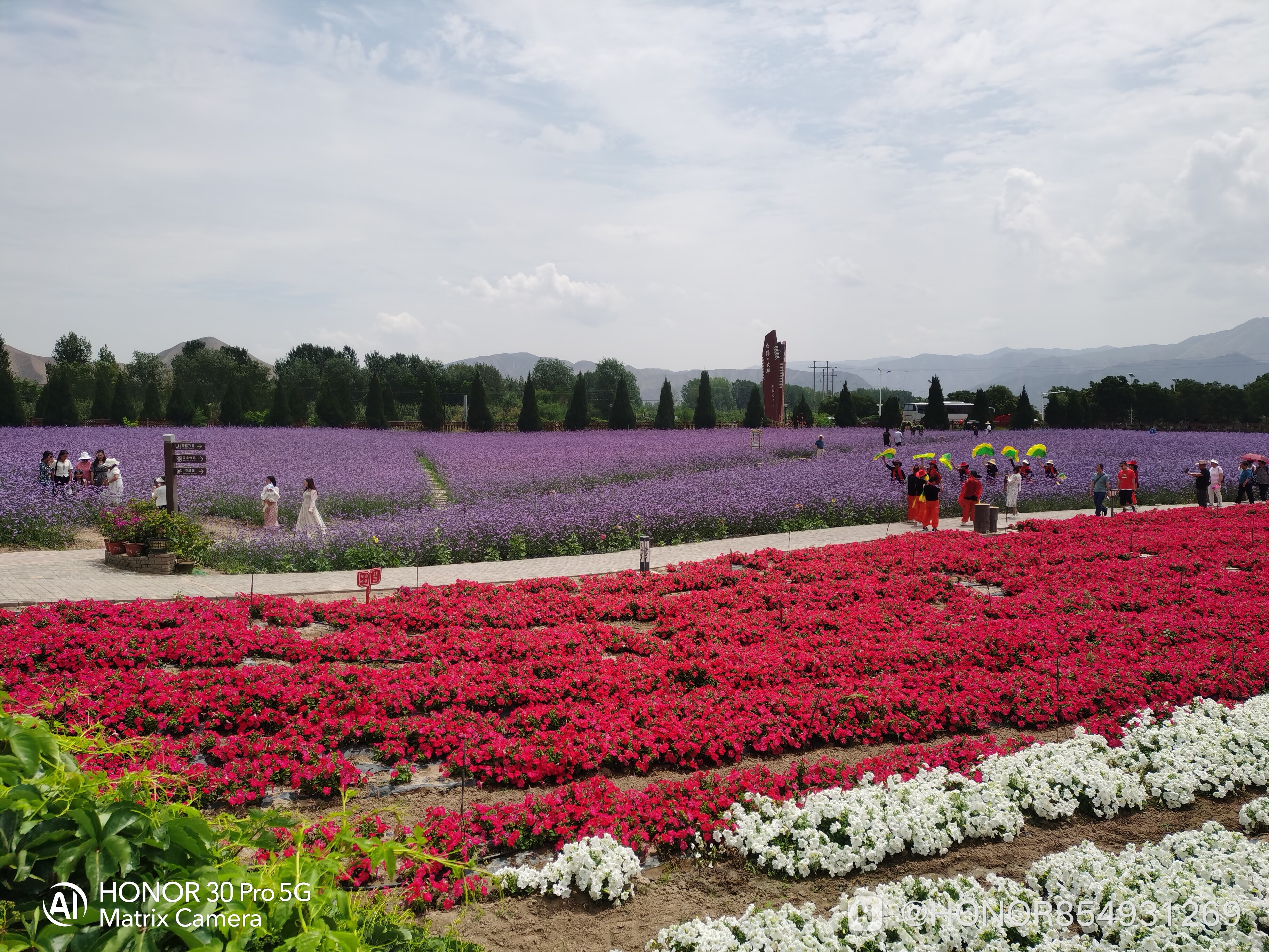 IMG_20240713_115837.jpg