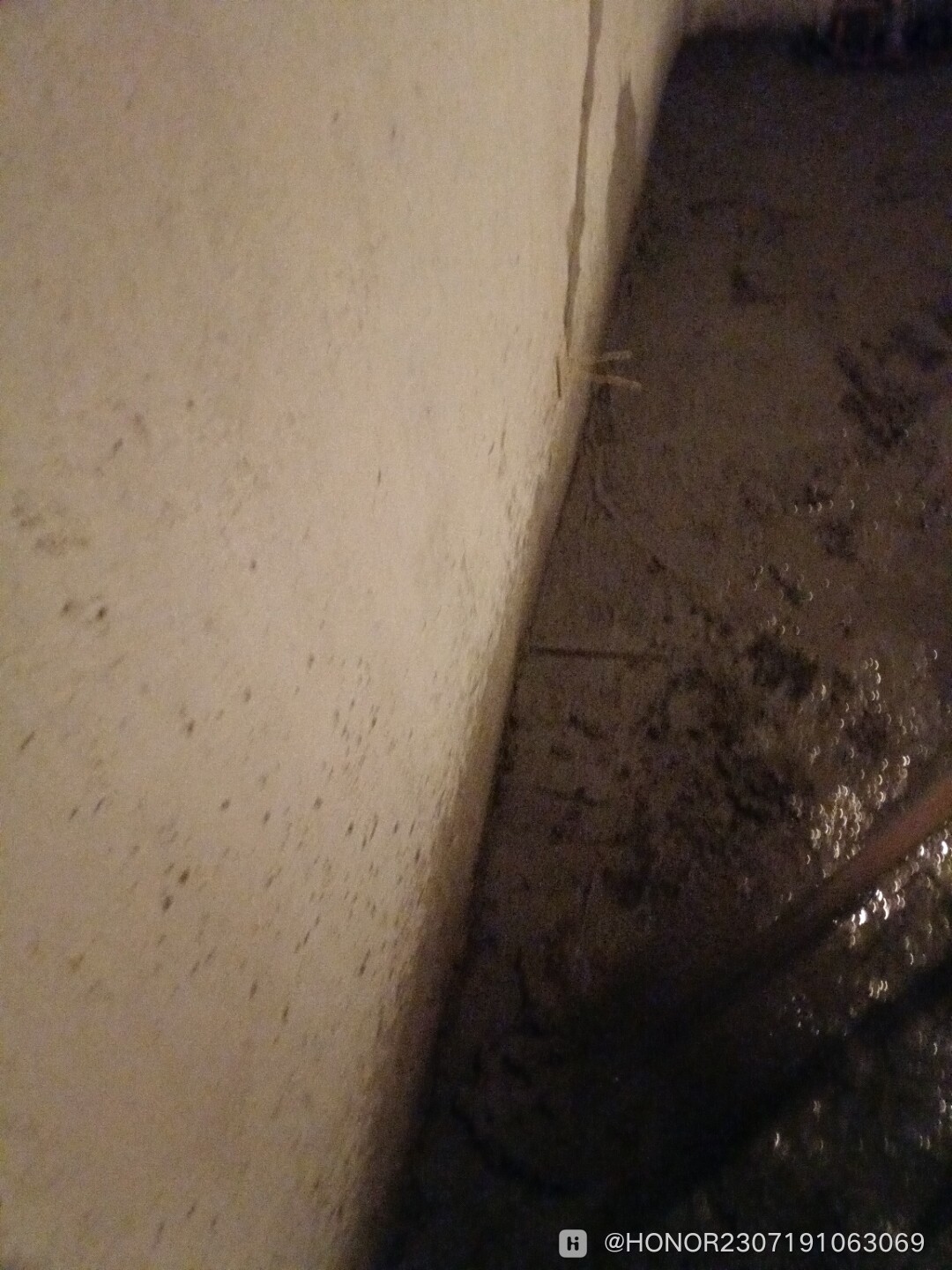 IMG_20240710_204006_BURST083.jpg