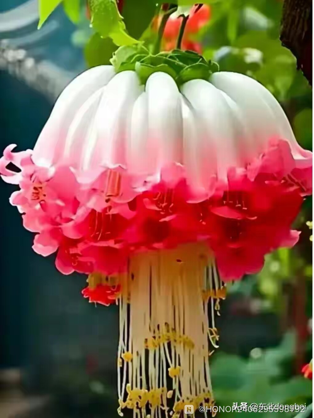 9e0e257609e8e3645ef597c1ed4c5a4e.jpg.jpg
