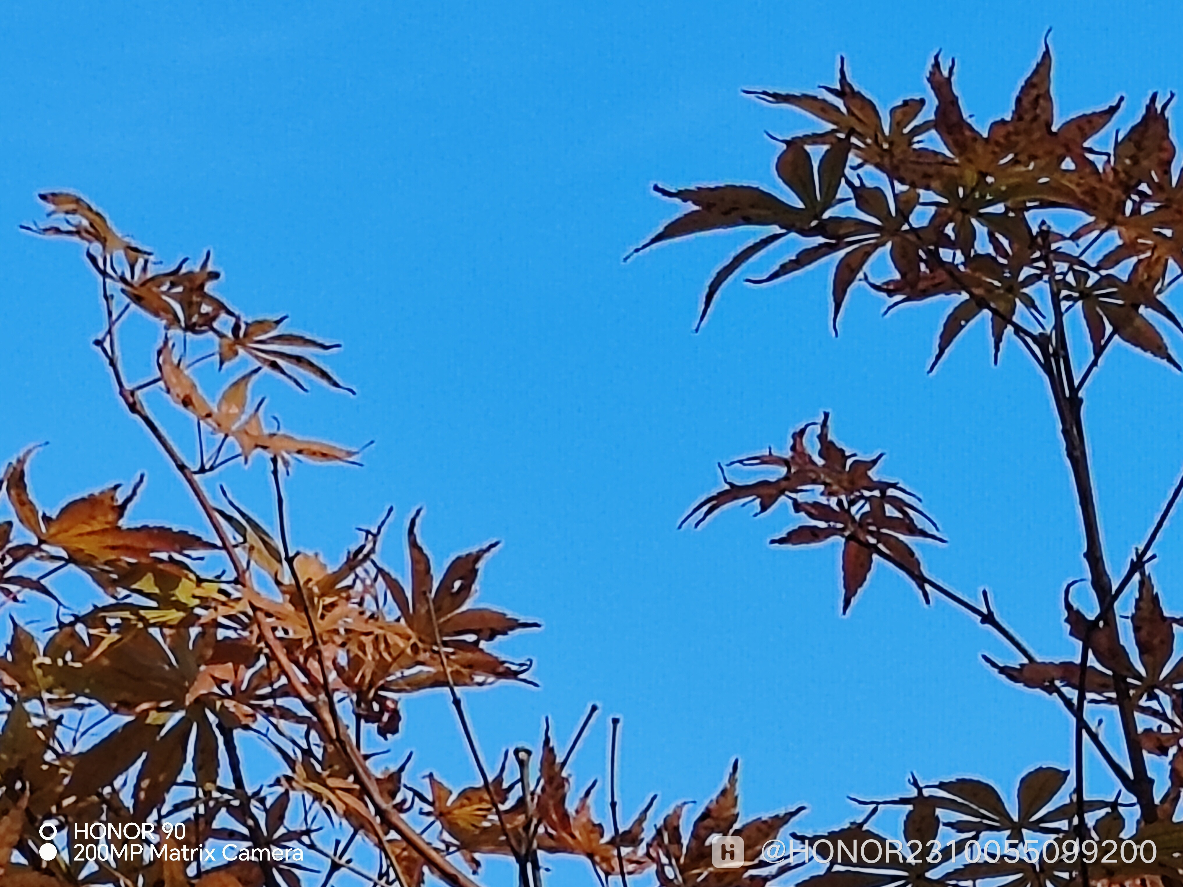 IMG_20240810_155953.jpg.jpg