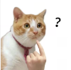 sync_data_275eb3767d.png