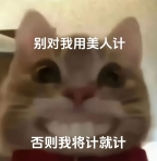 sync_data_1dd447d825.png