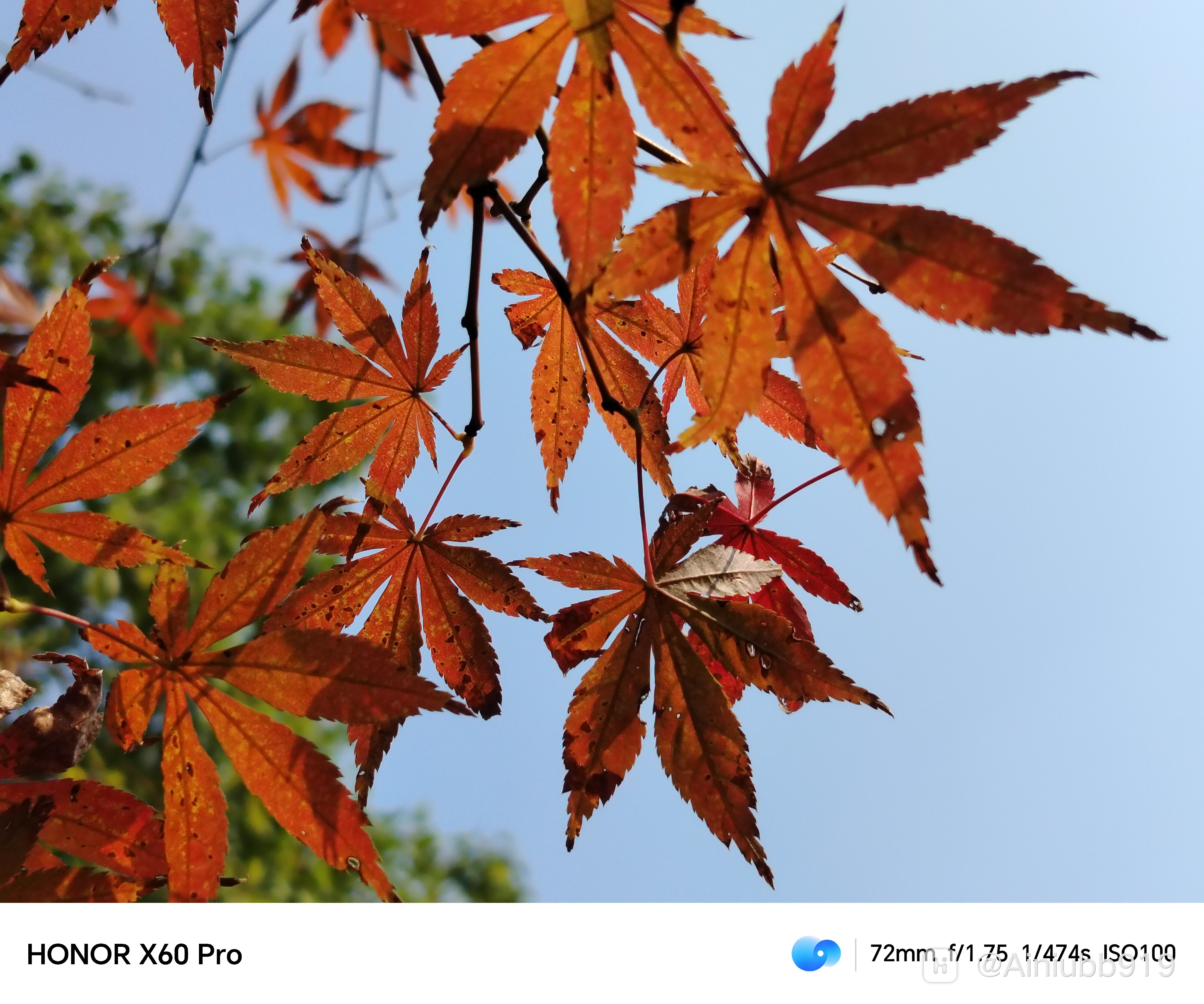 荣耀x60 pro|千元机的颜值担当,性能均衡小钢炮