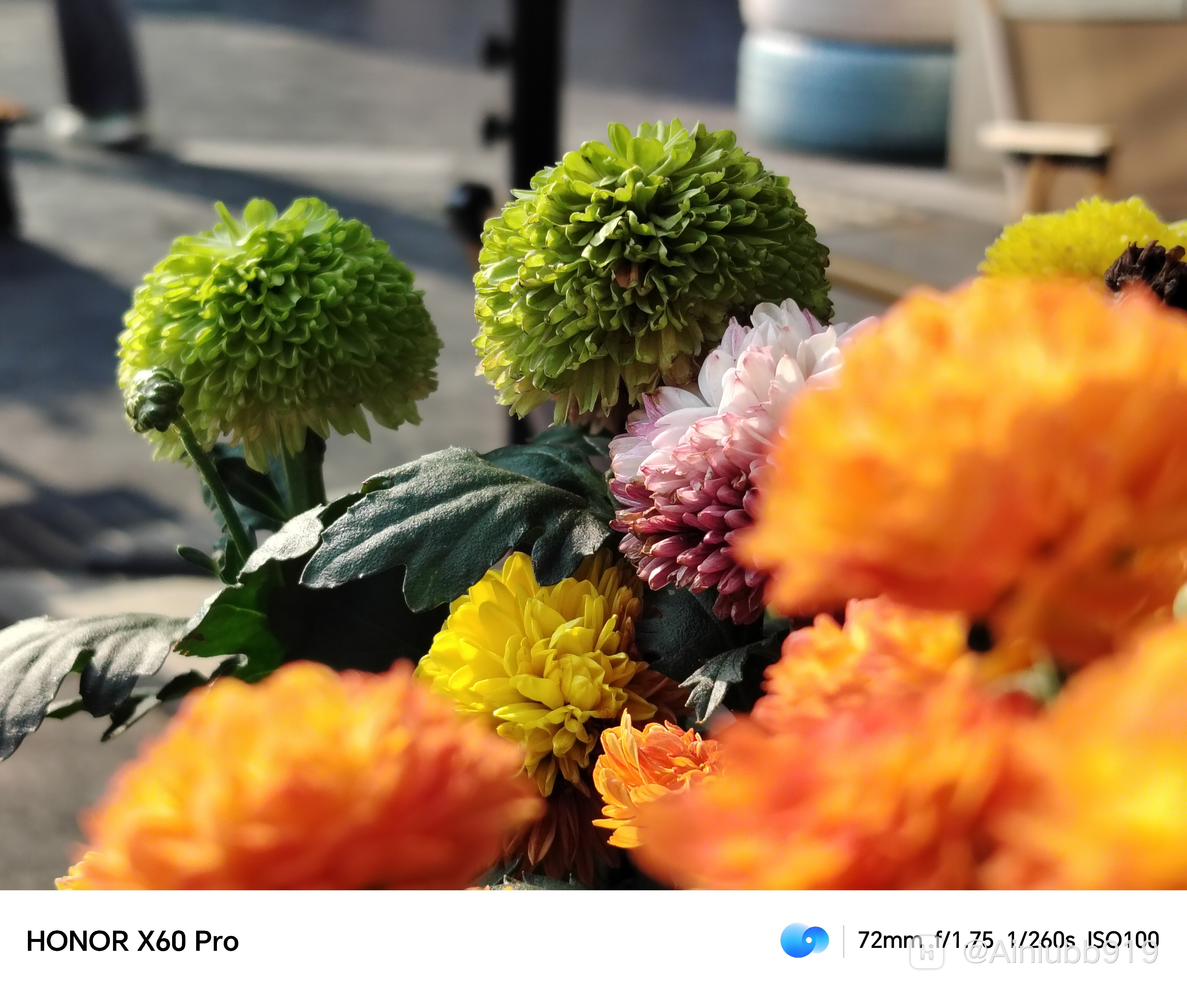 荣耀x60 pro|千元机的颜值担当,性能均衡小钢炮