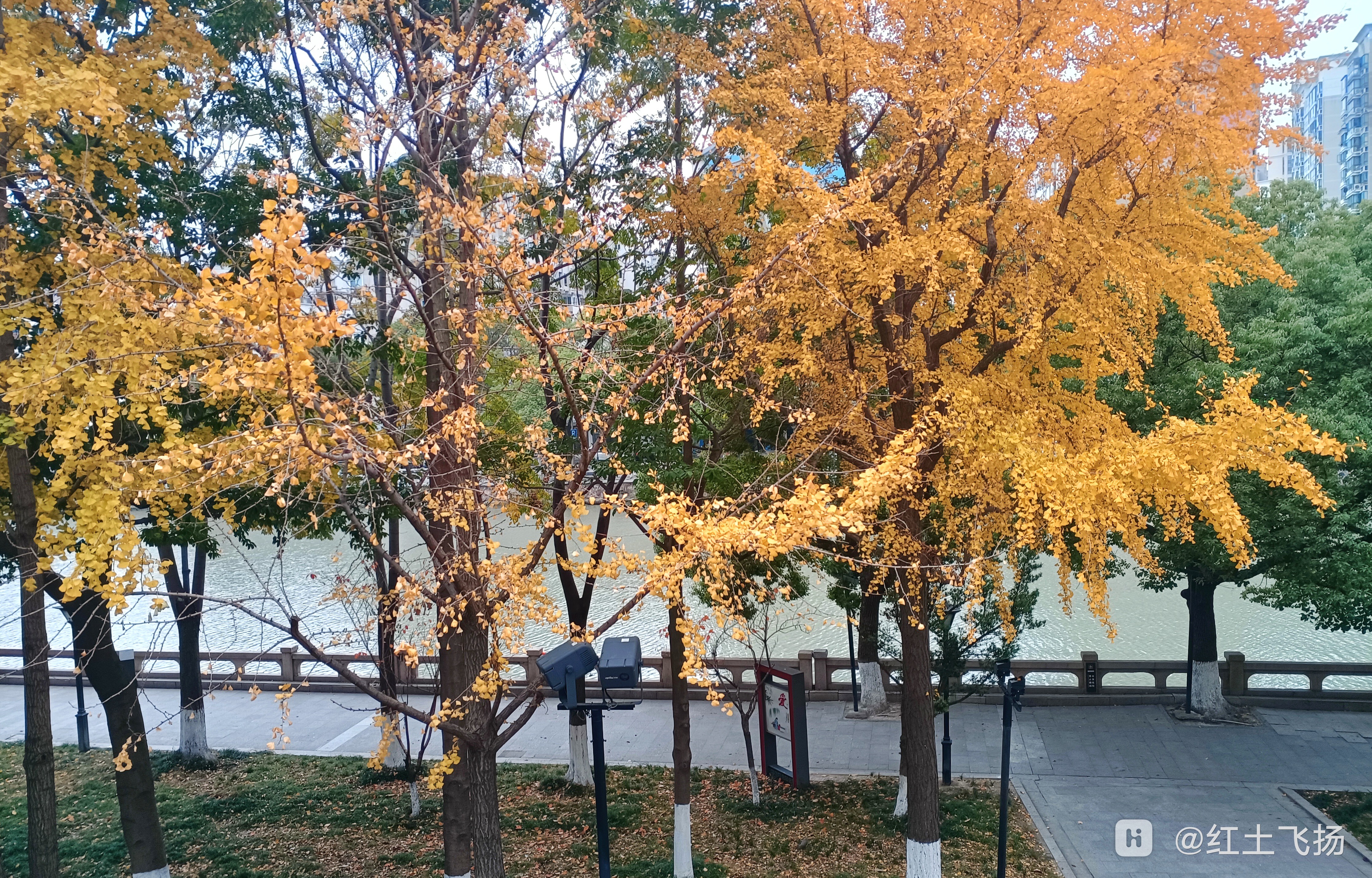 IMG_20241204_121844-01.jpeg