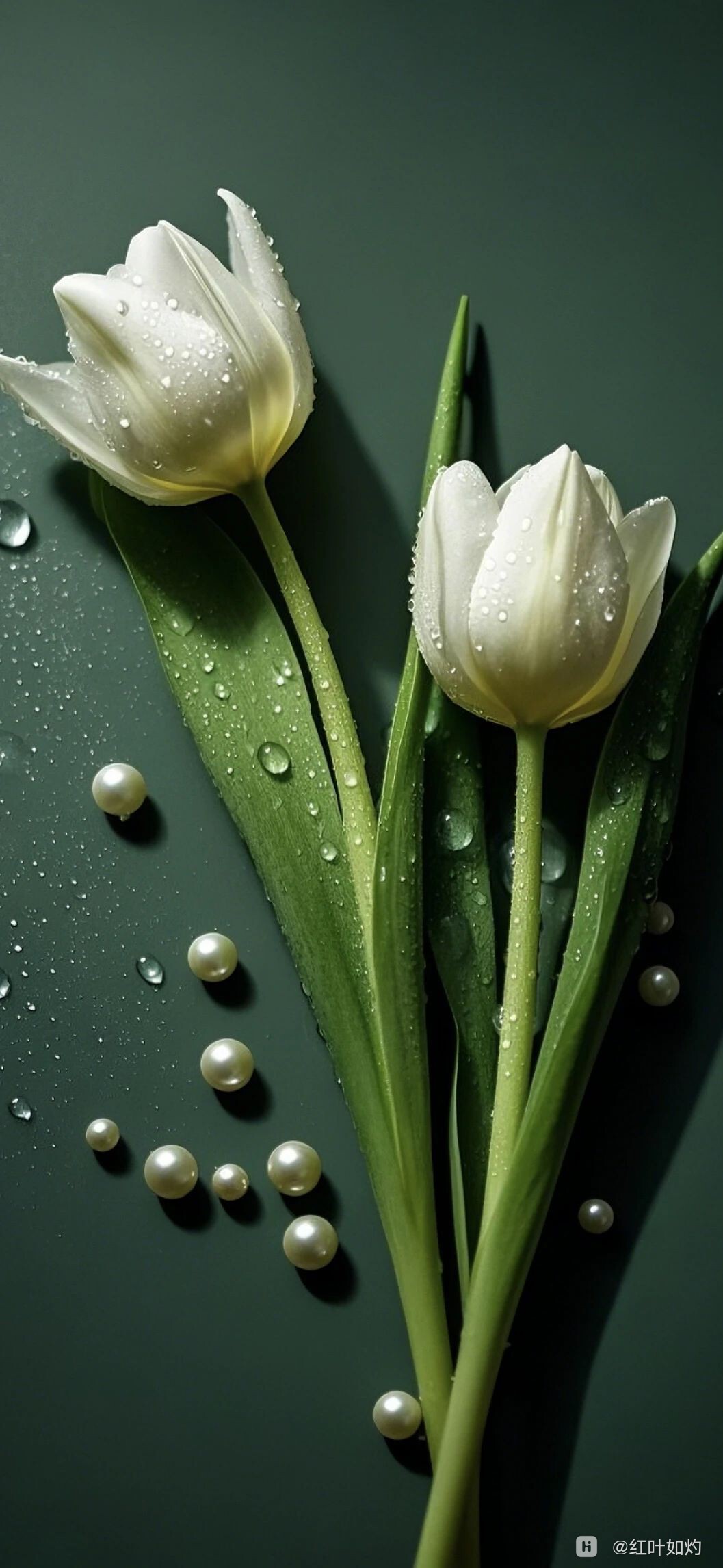 绿色护眼系列壁纸背景图墨绿花朵 25.01.03