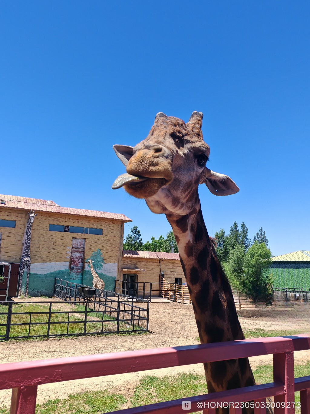 MEITU_20240622_231712422.jpg