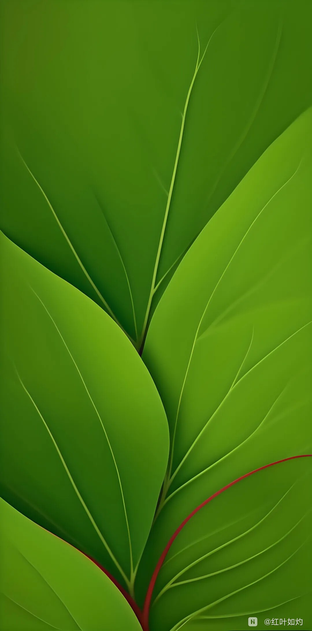 护眼绿锁屏壁纸 25.02.16