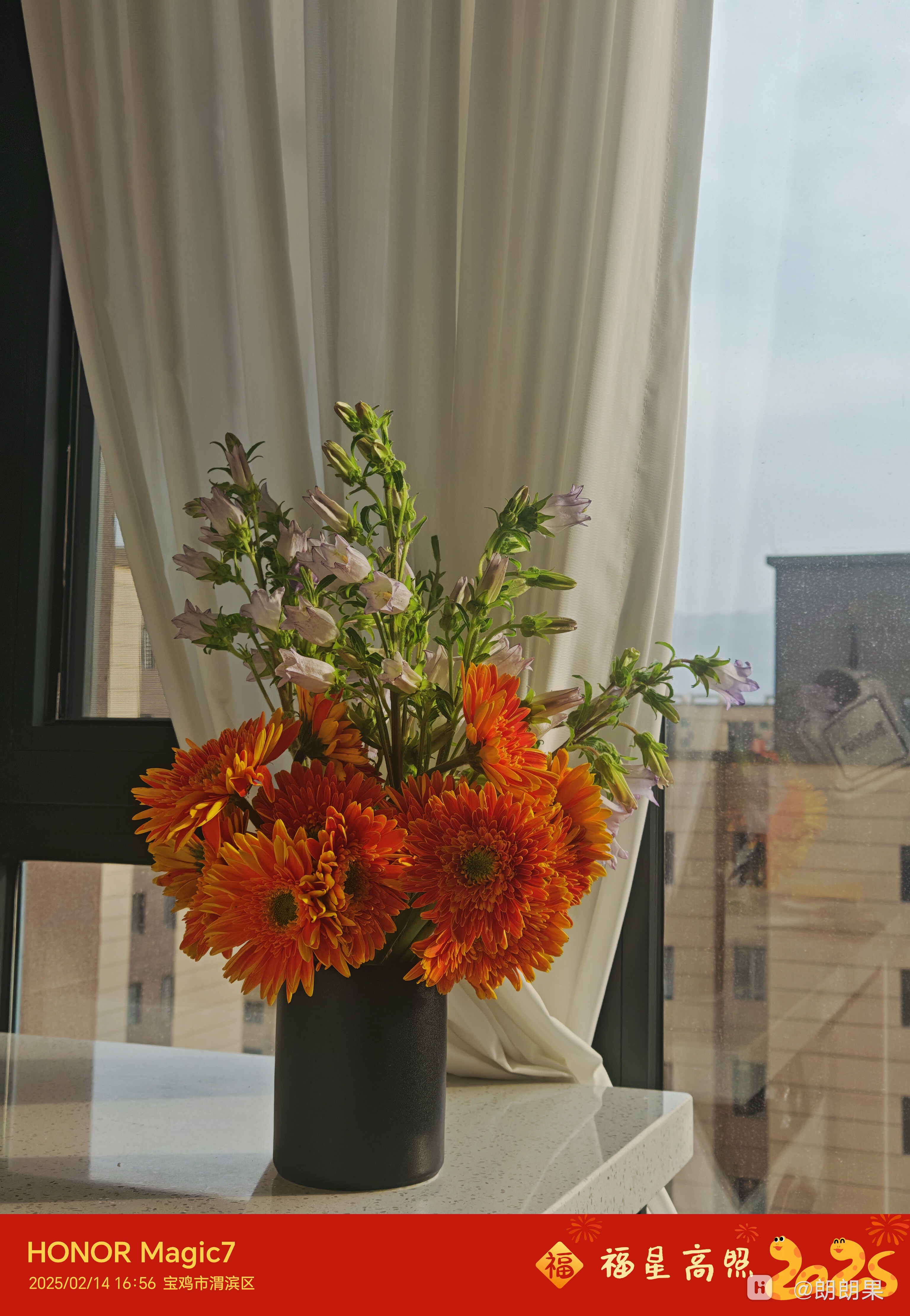 IMG_20250214_165622.jpg