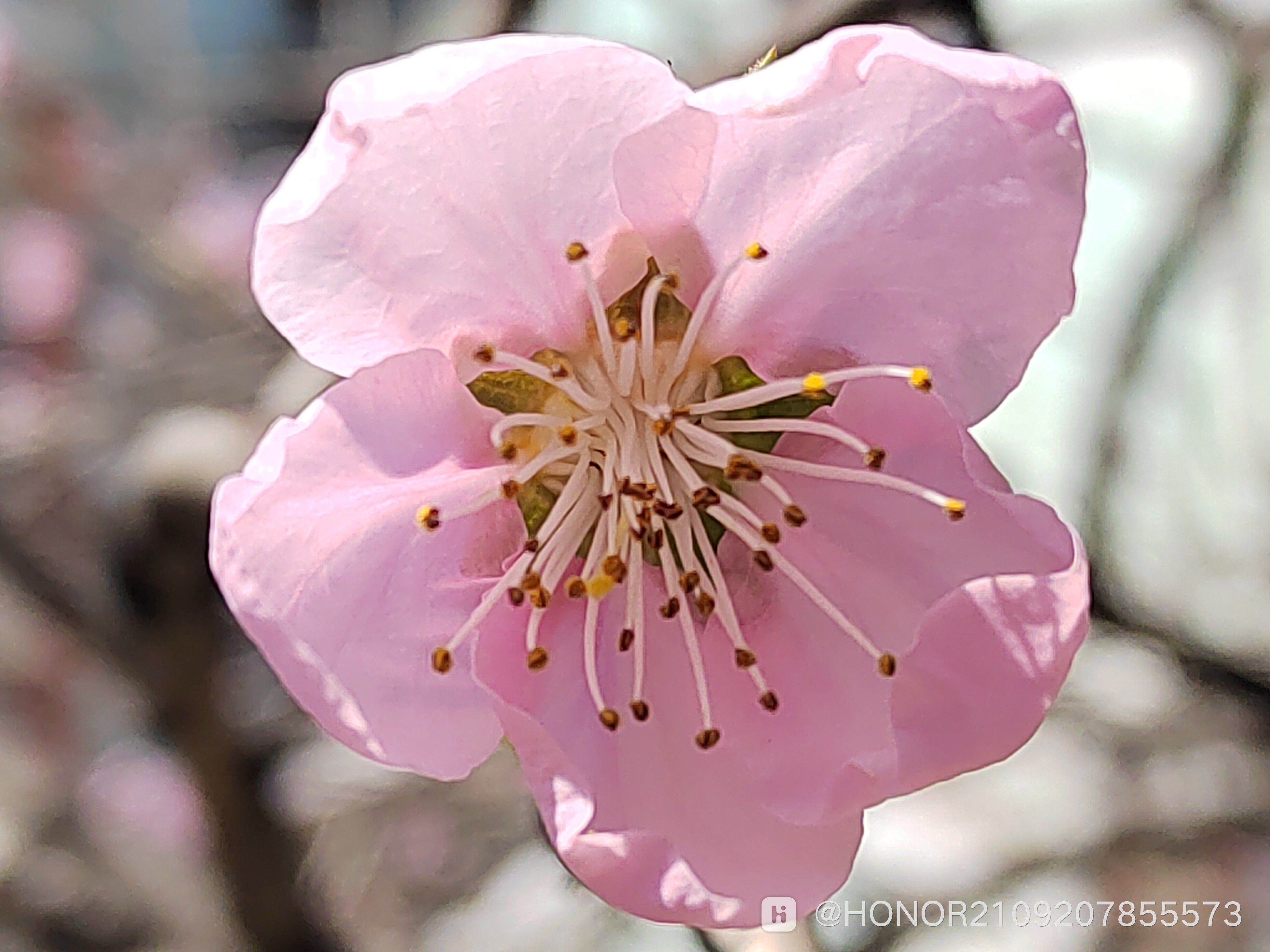 IMG_20250317_123534_1.jpg