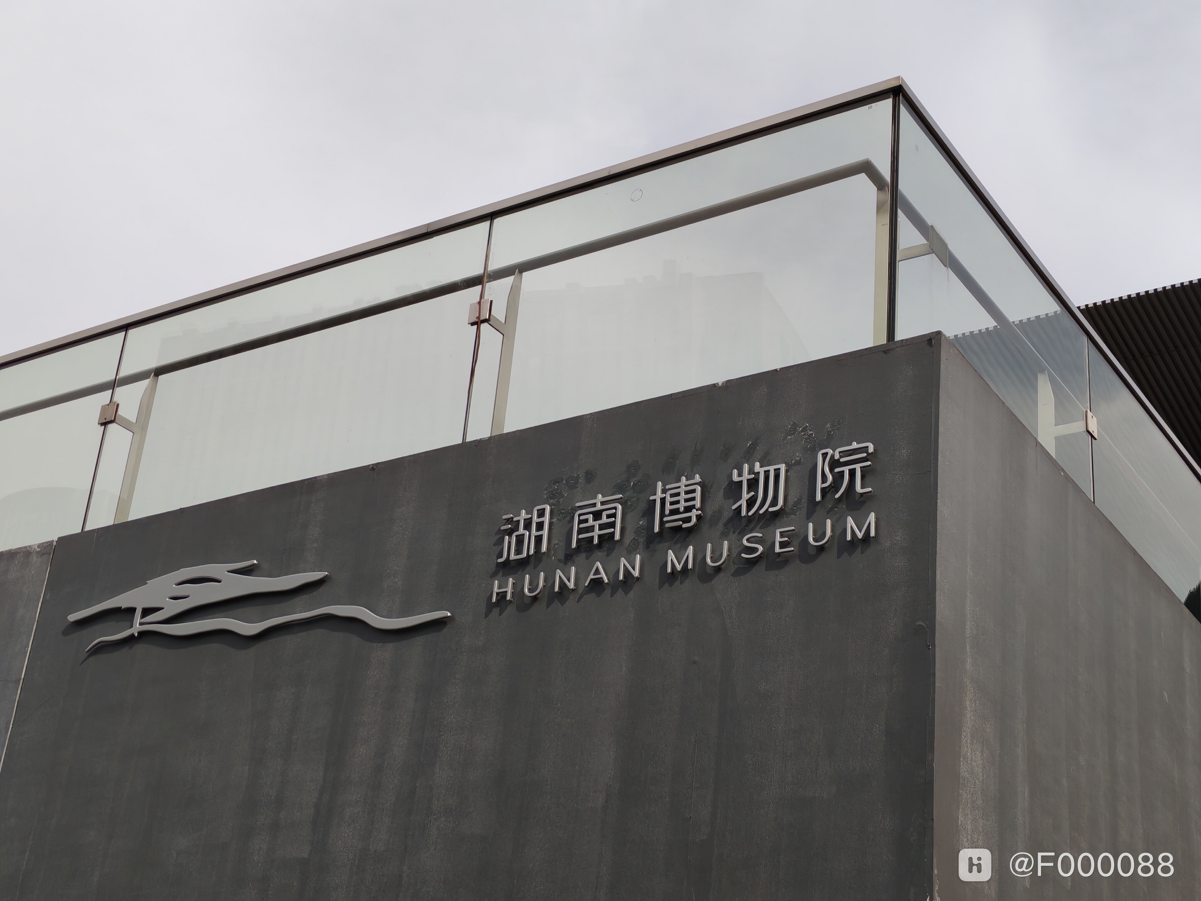 IMG_20241108_132822.jpg