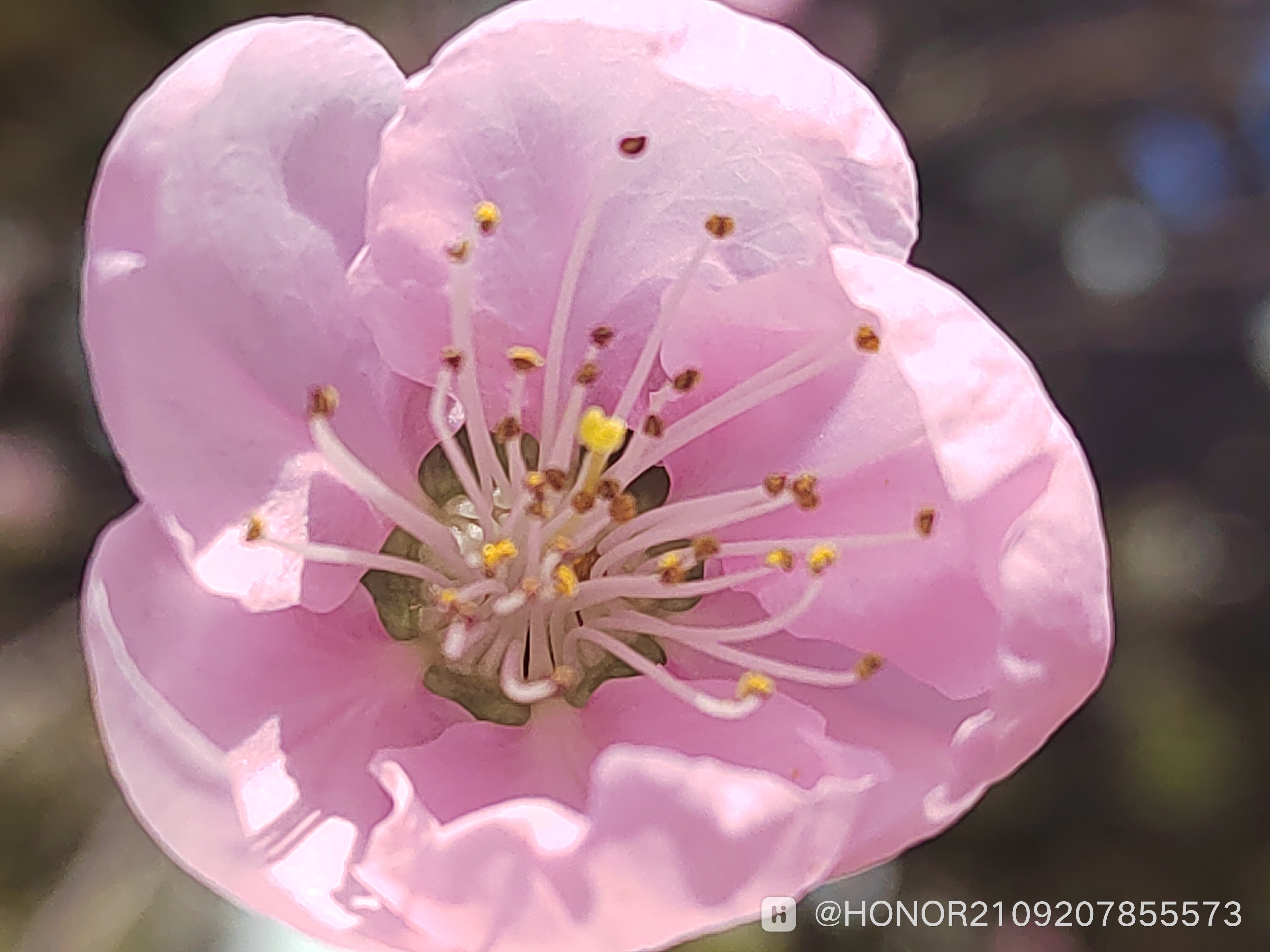 IMG_20250317_123618.jpg