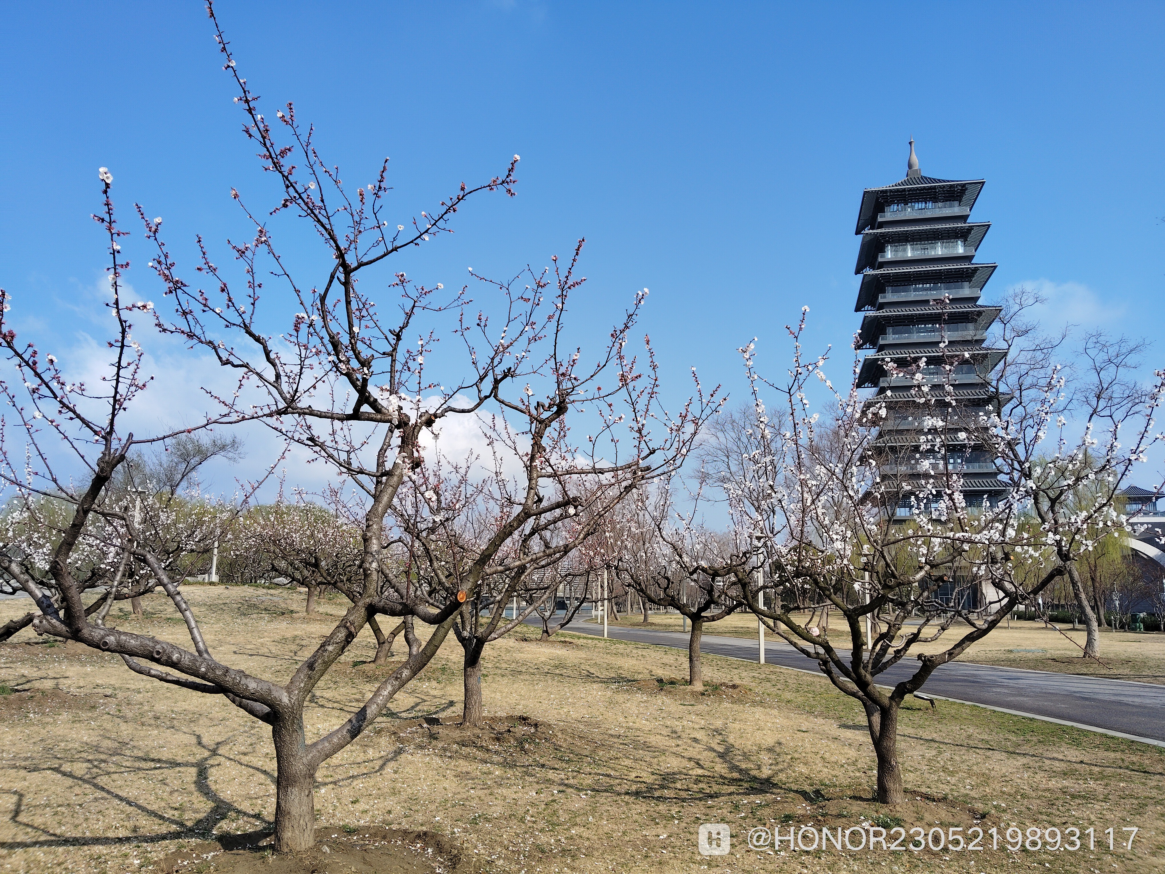 IMG_20250316_090259.jpg