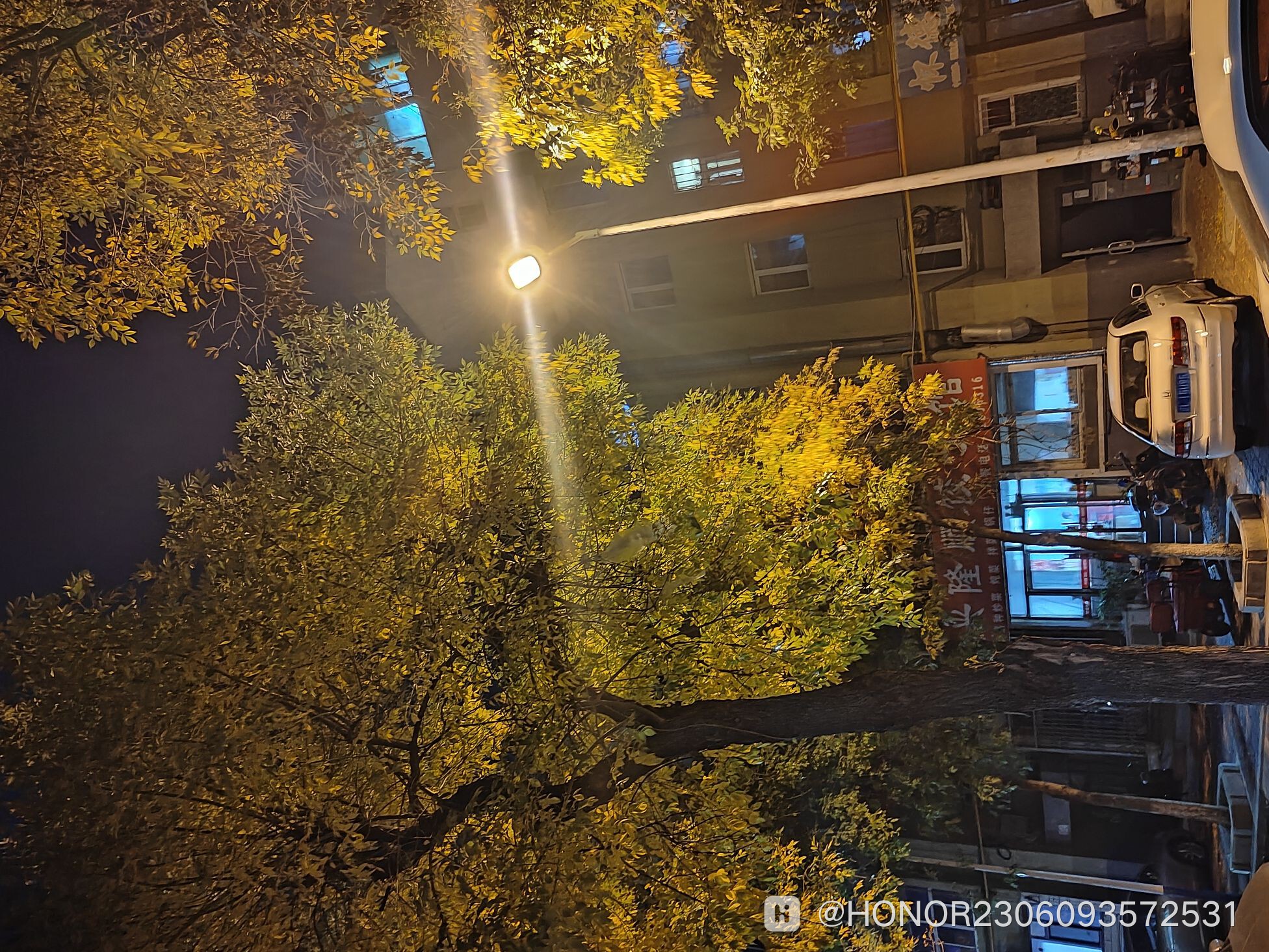IMG_20241009_195352.jpg