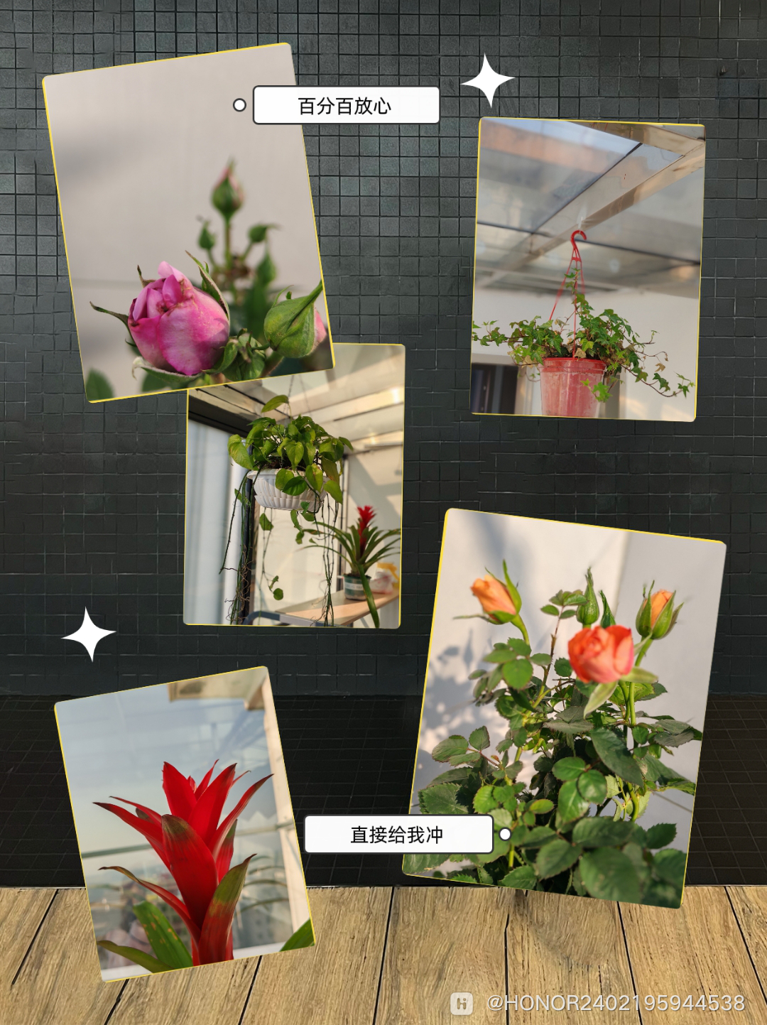 IMG_20250318_090248_9482c84f6b.png