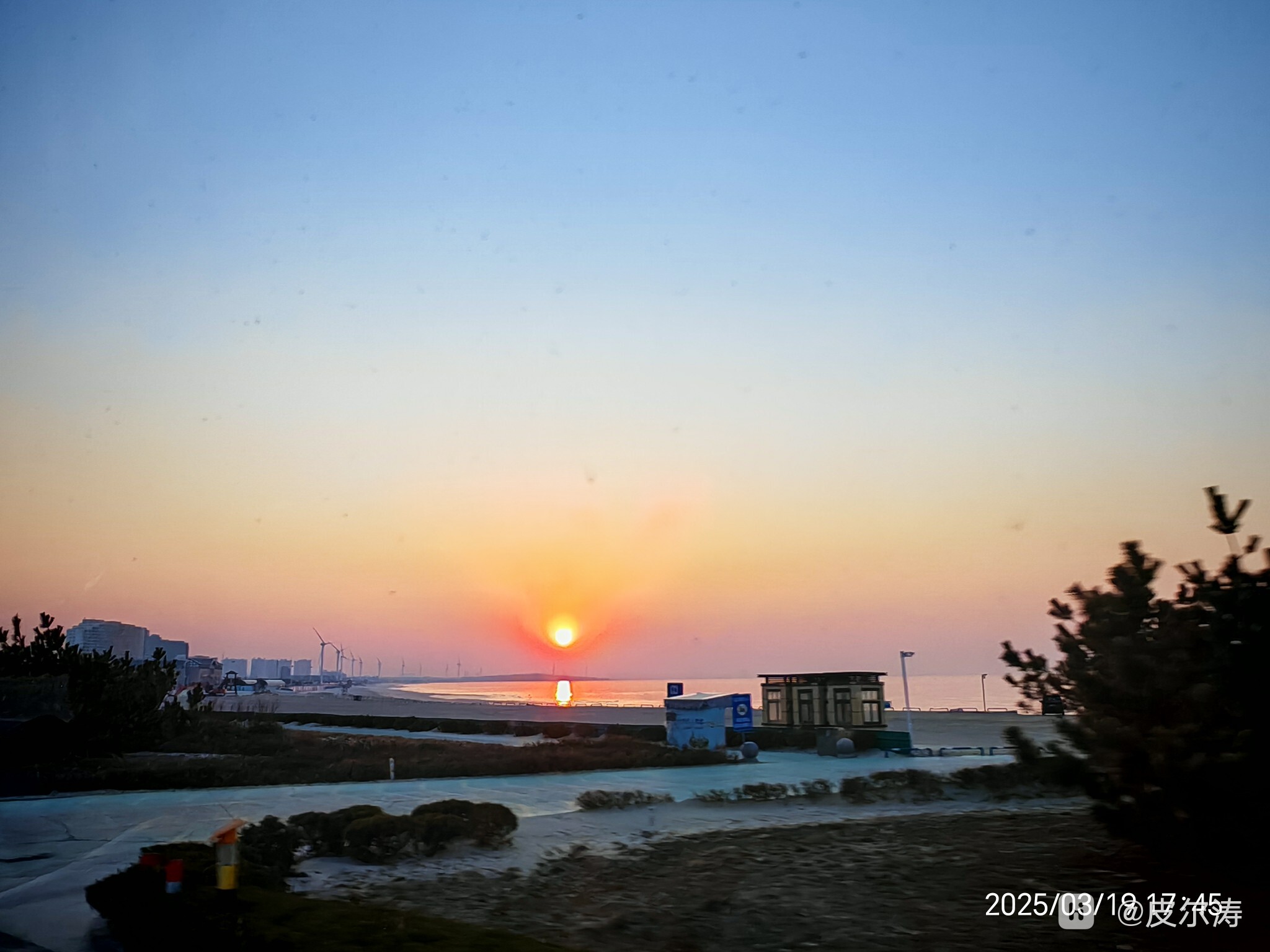 IMG_20250319_174556.jpg
