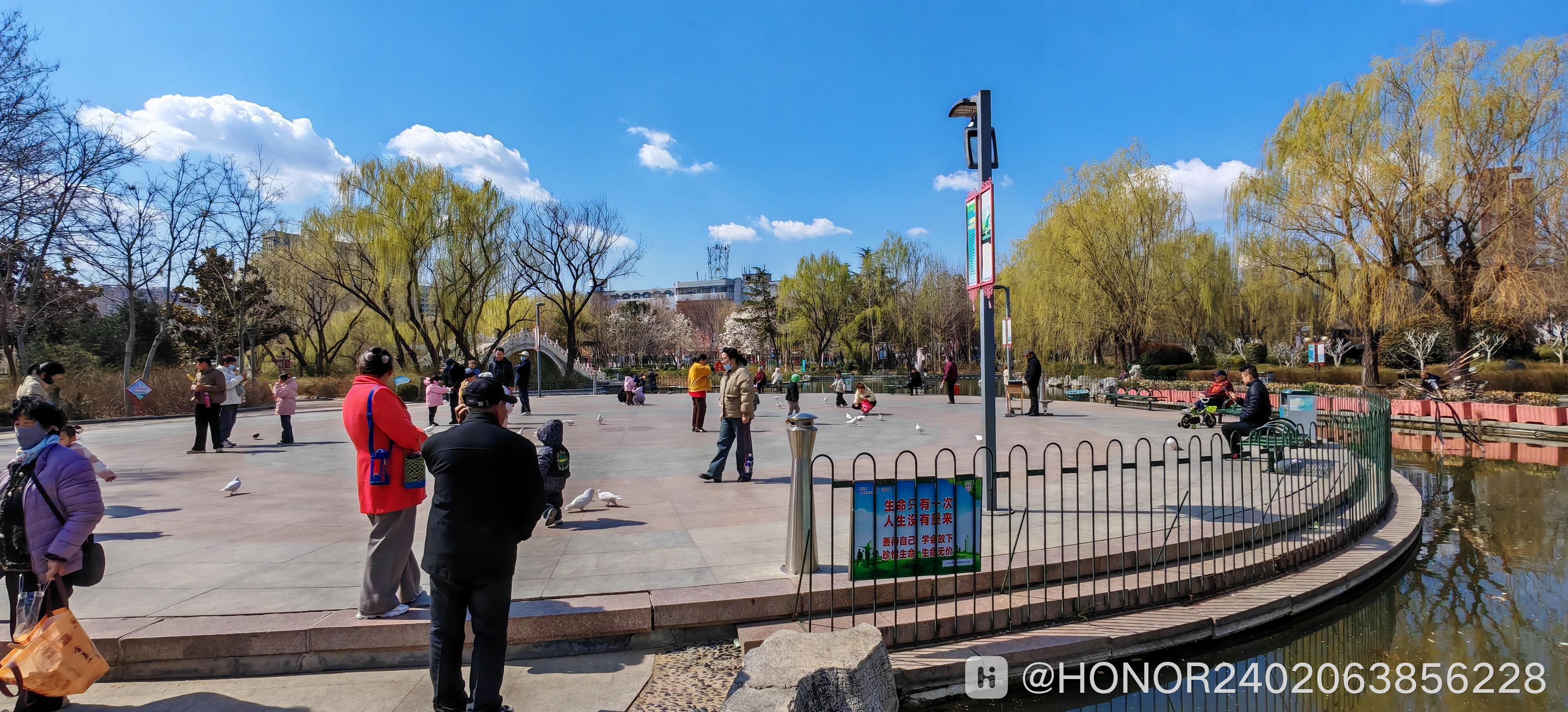 IMG_20250316_111657.jpg