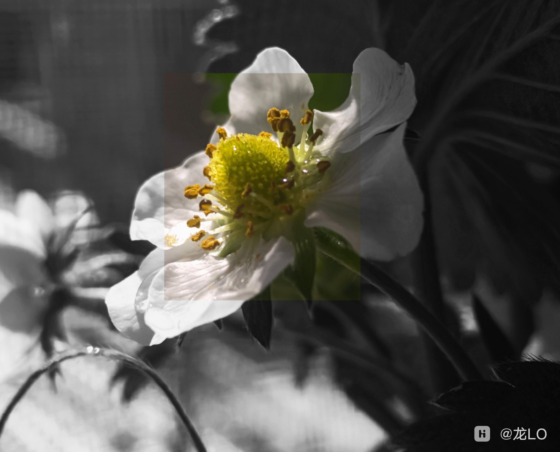 retouch_2025032212442806.jpg
