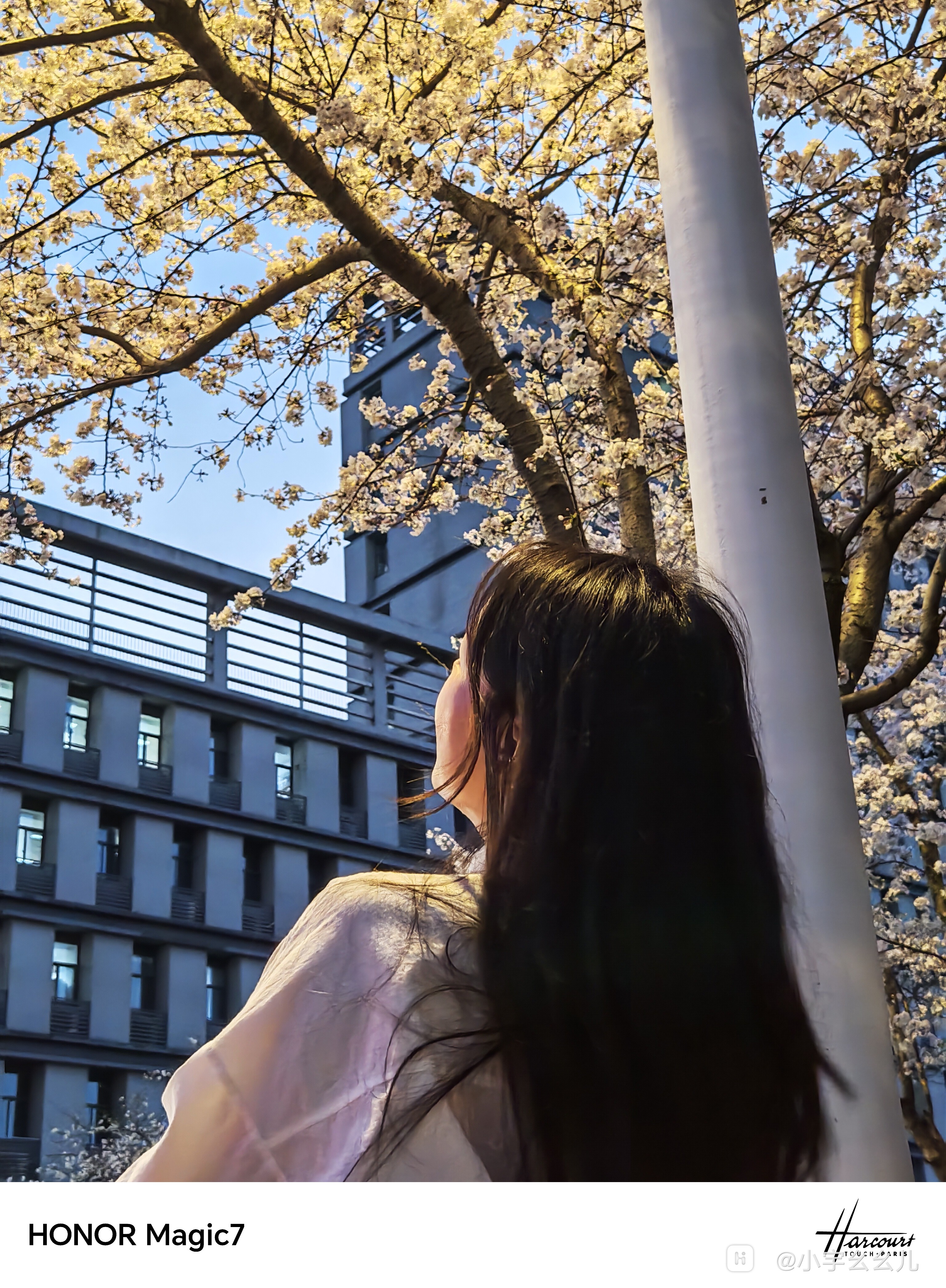 retouch_2025032519285752.jpg