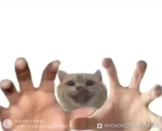 lofter_1733847523920.jpg