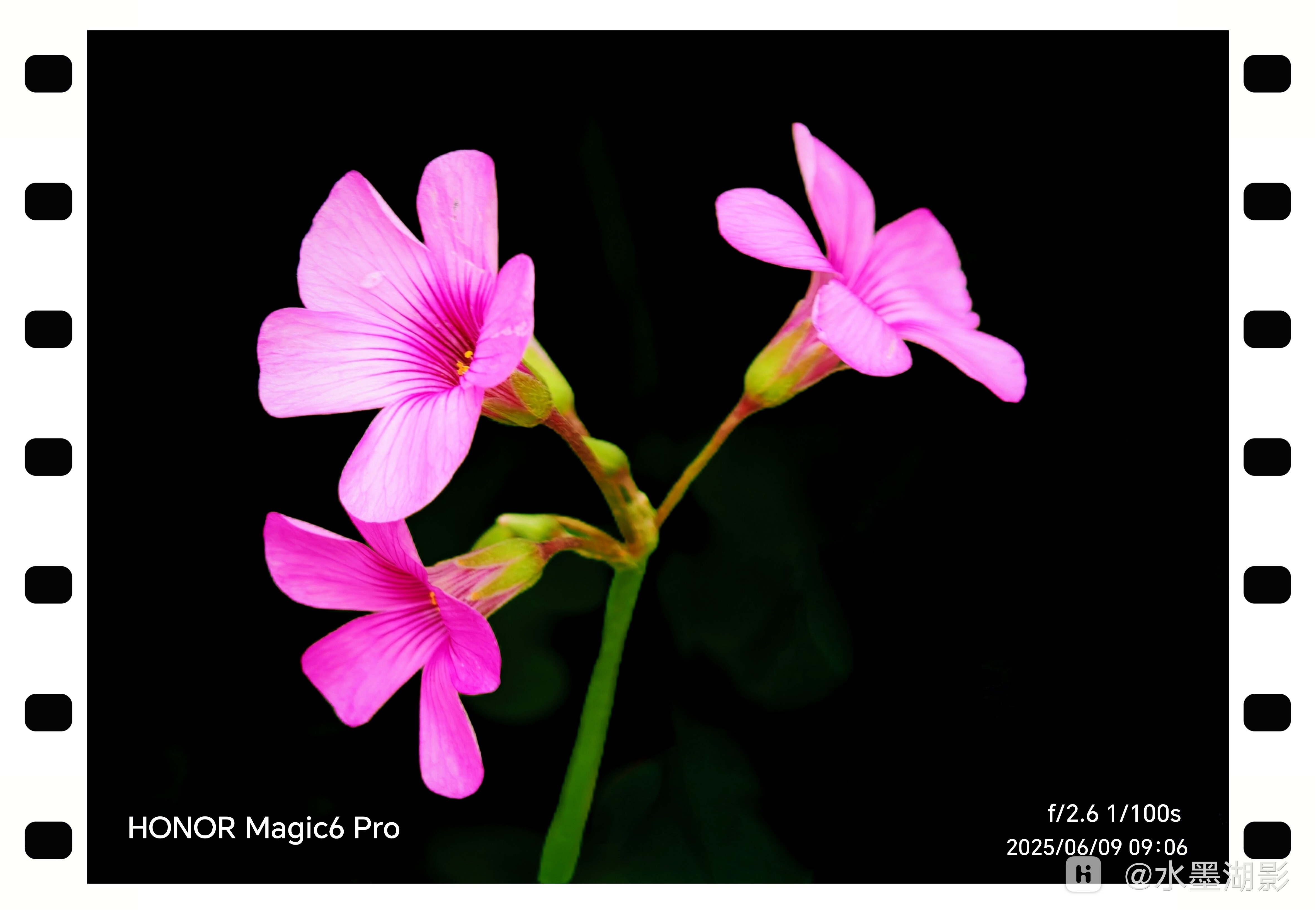 retouch_2025061009554593_edit_64852515051978.jpg