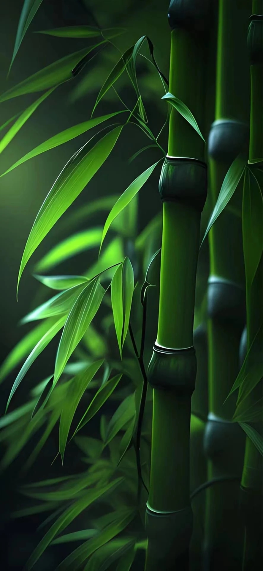 爱主题以竹为引￤绿色护眼壁纸250616