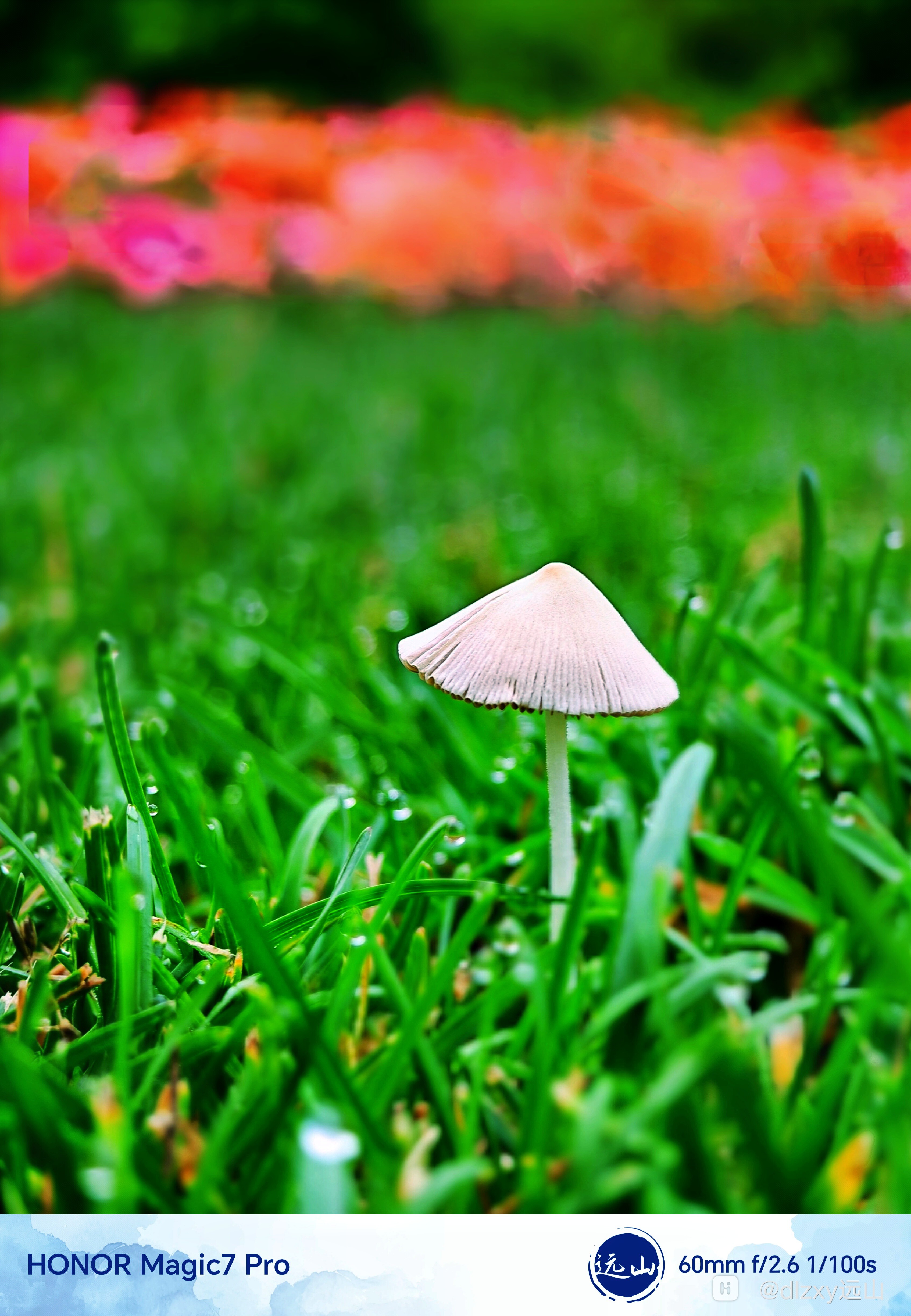 Mix_20250621_082754_edit_145441919016963-01.jpeg