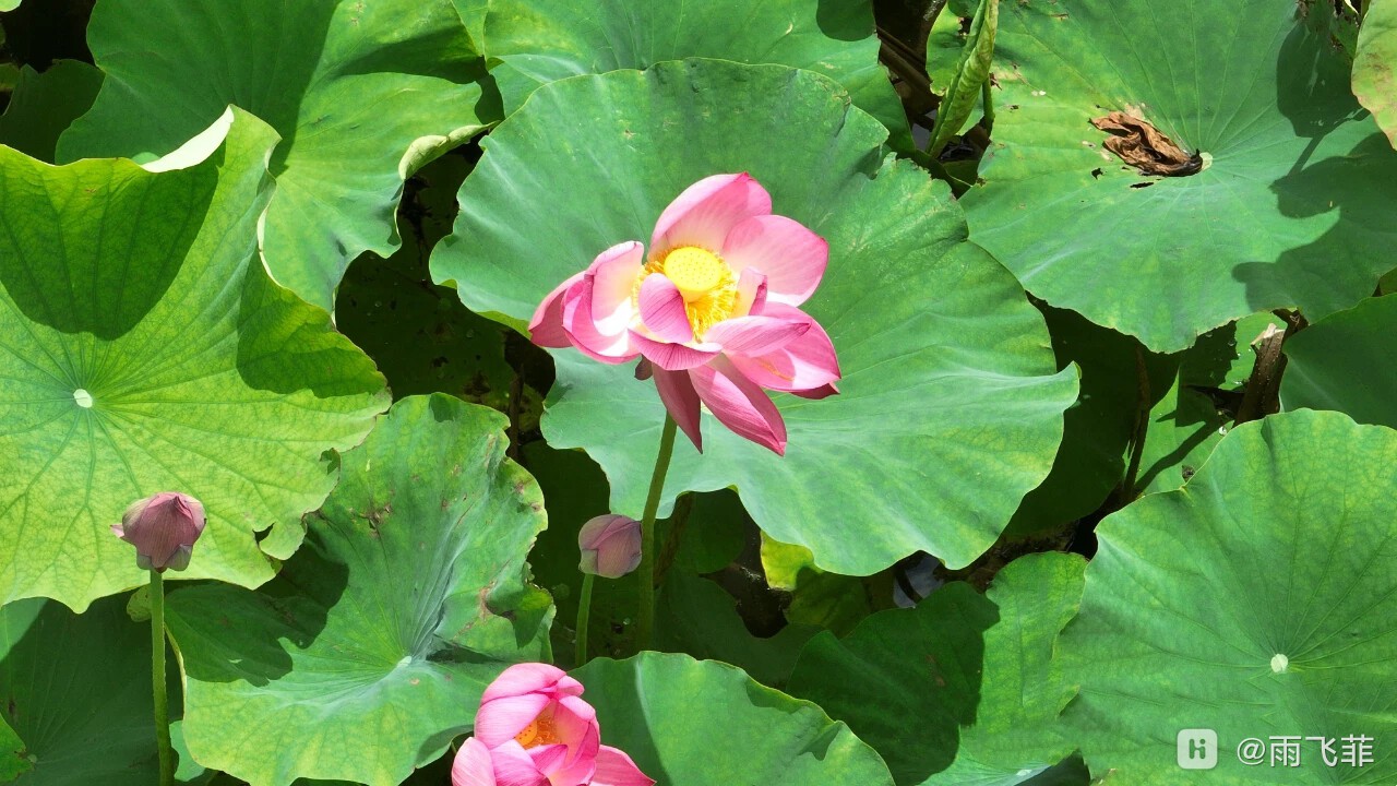 MEITU_20250701_221346947.jpg