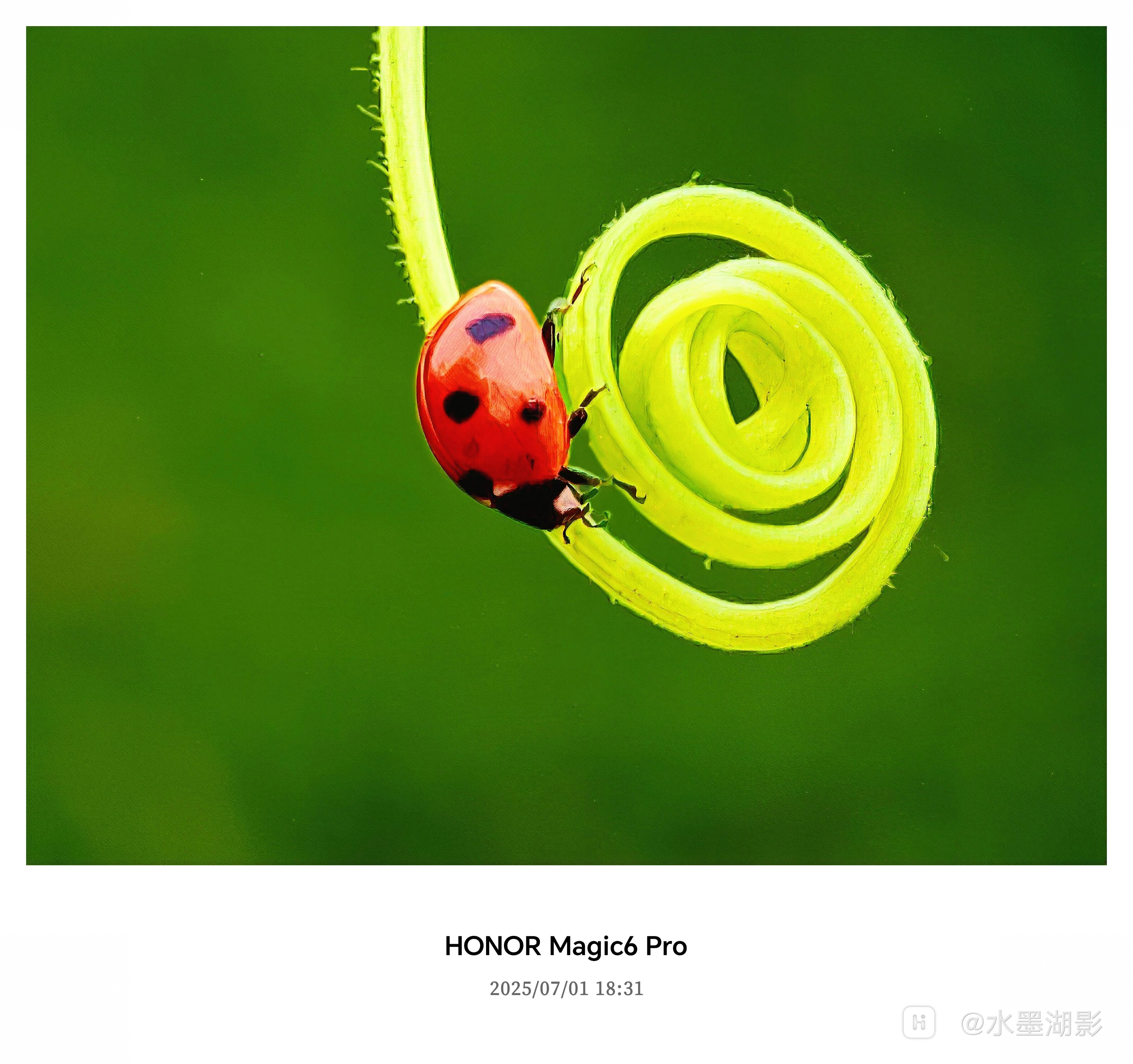 retouch_2025070120483633_edit_386900877761158.jpg