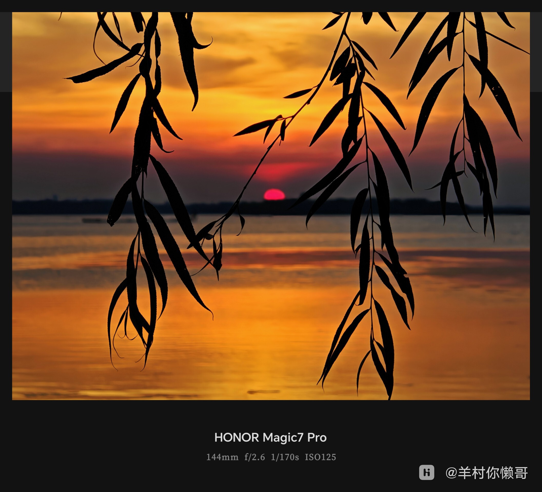 mmexport1751634097476.jpg