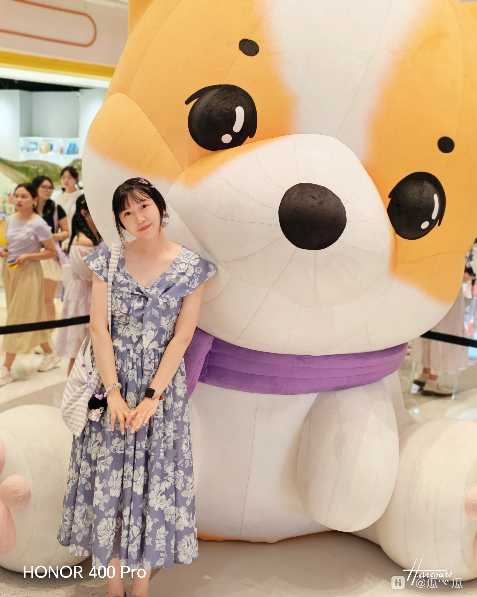 IMG_6102.PNG