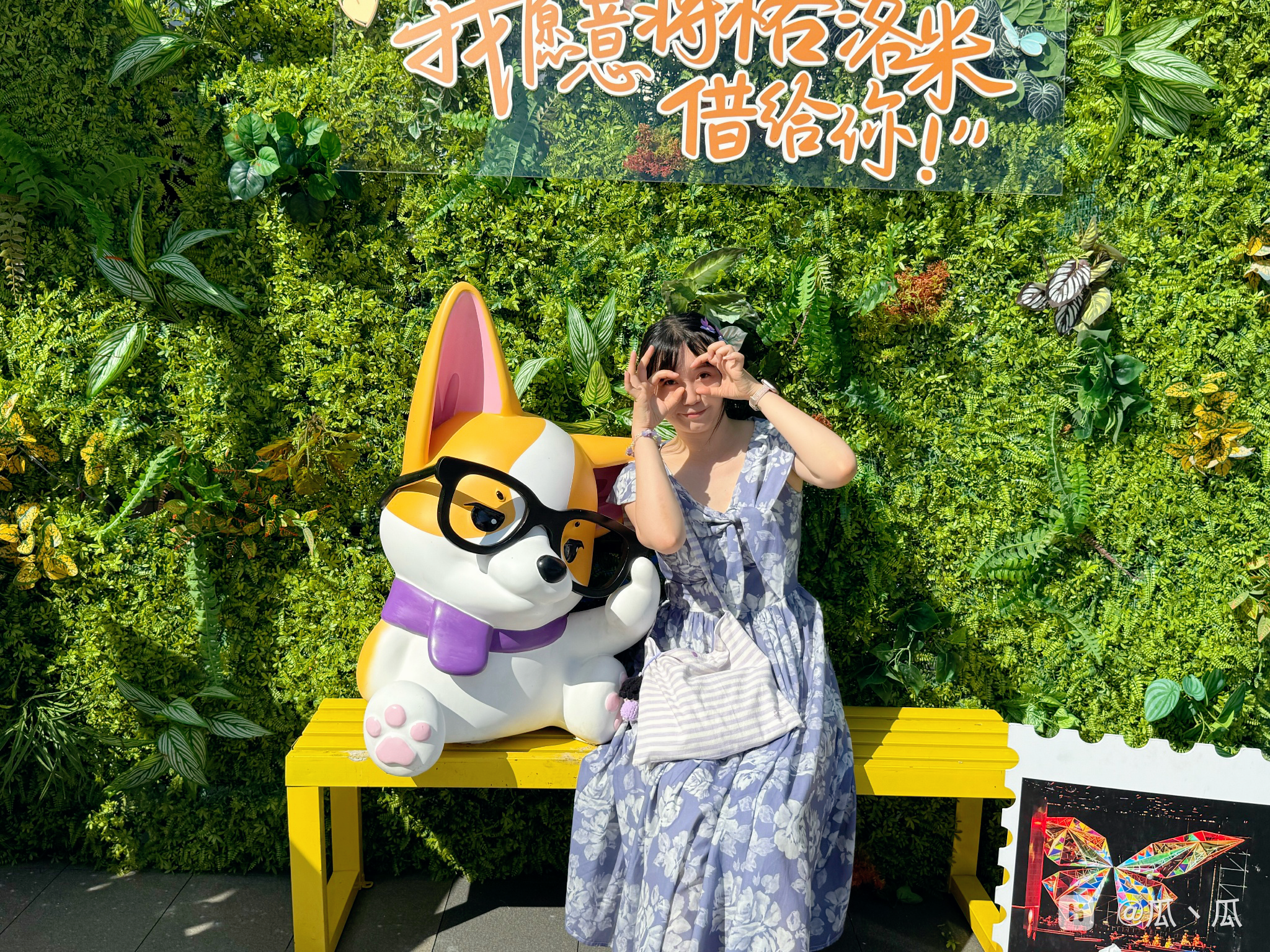 IMG_6101.PNG