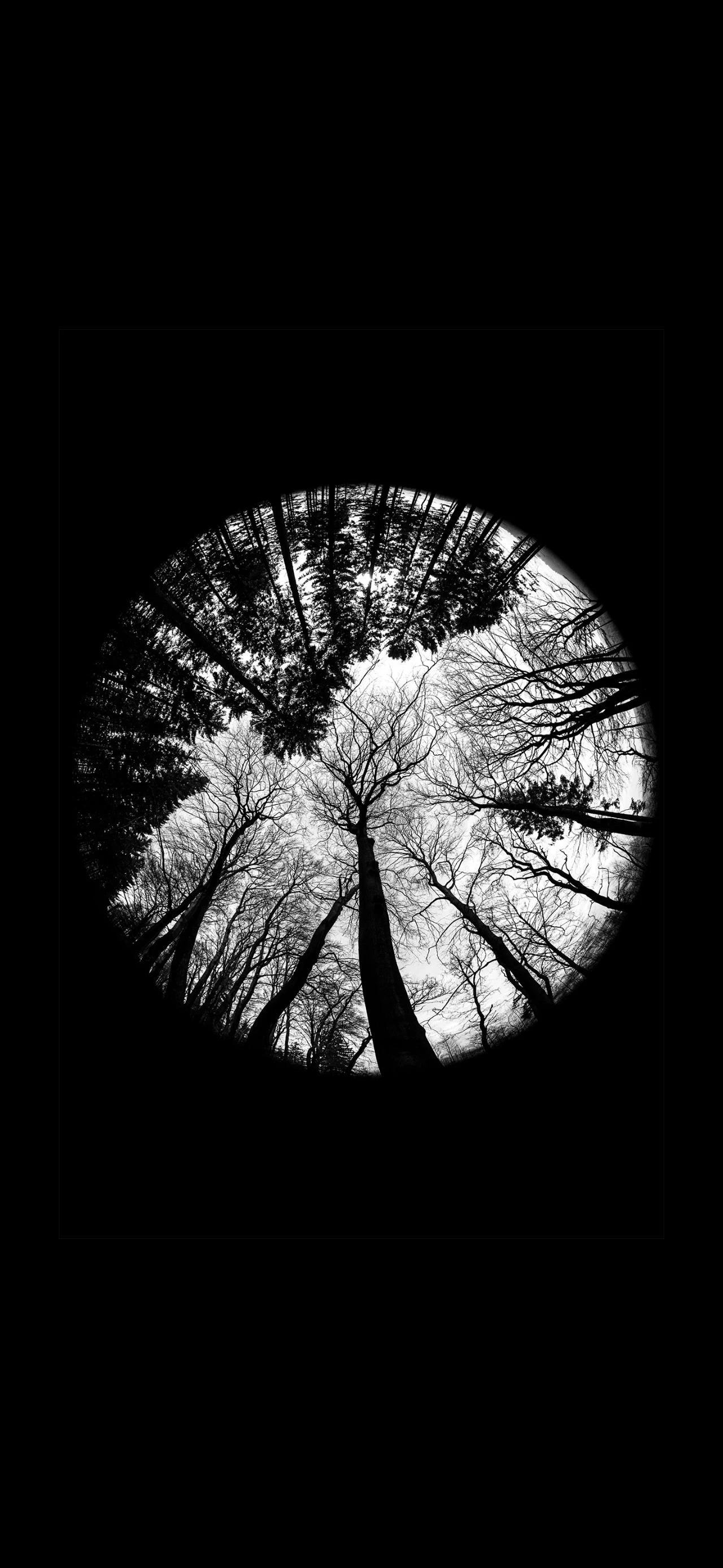 超爱的黑色系简约壁纸 25.07.22