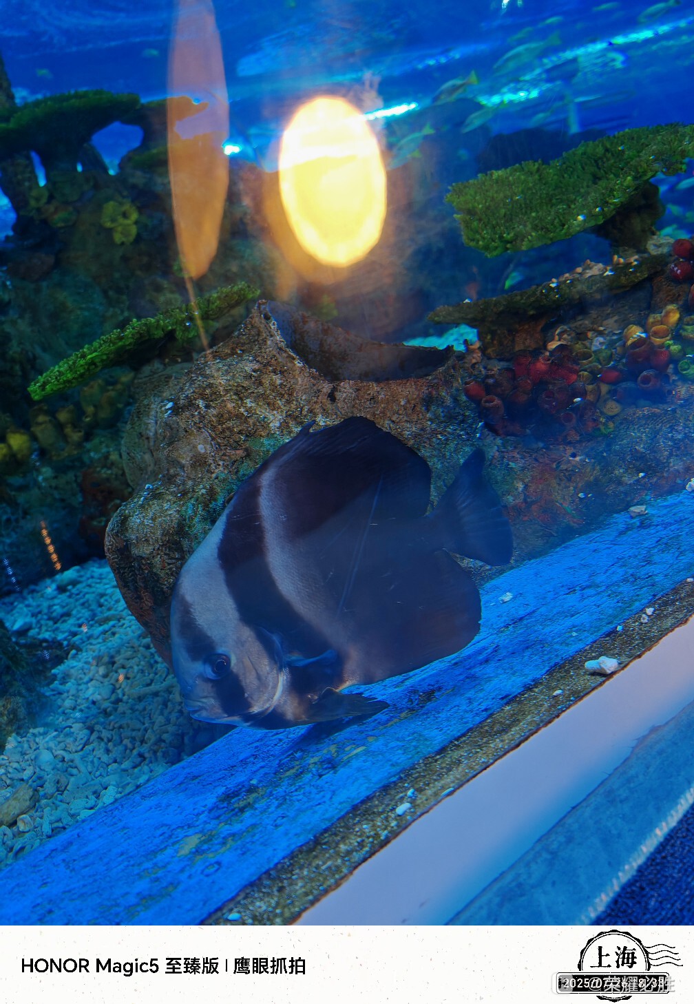 IMG_20250726_183327.jpg