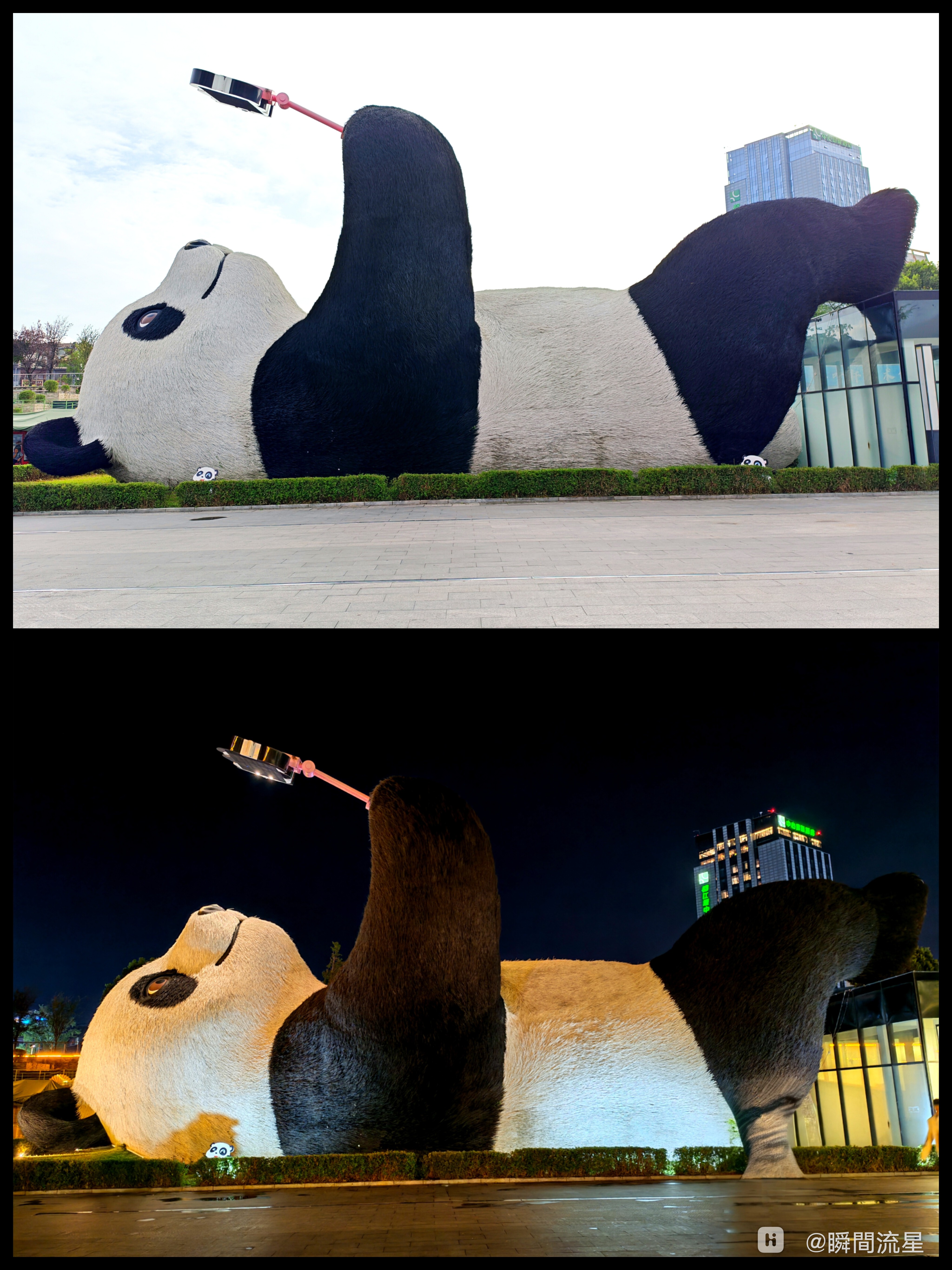 Collage_20250901_155257598.jpg