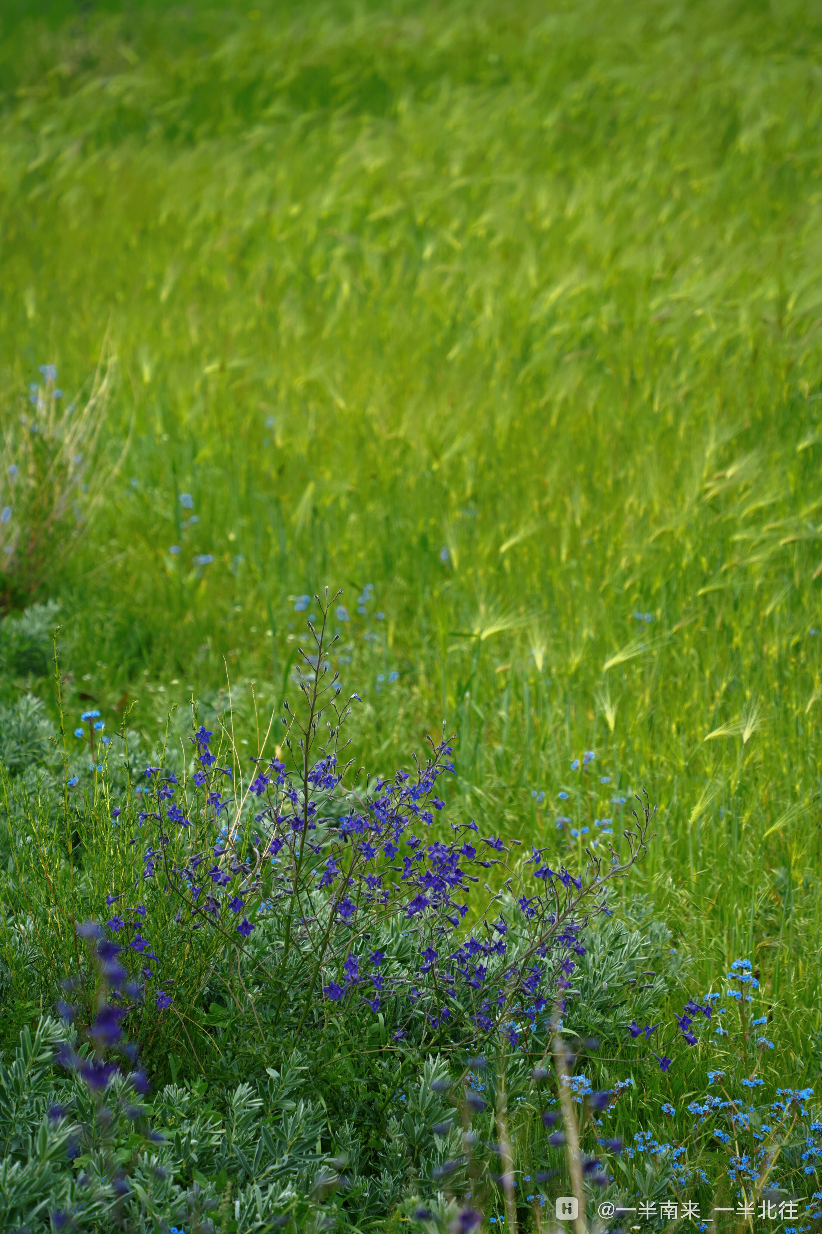 retouch_2025072201295866.jpg