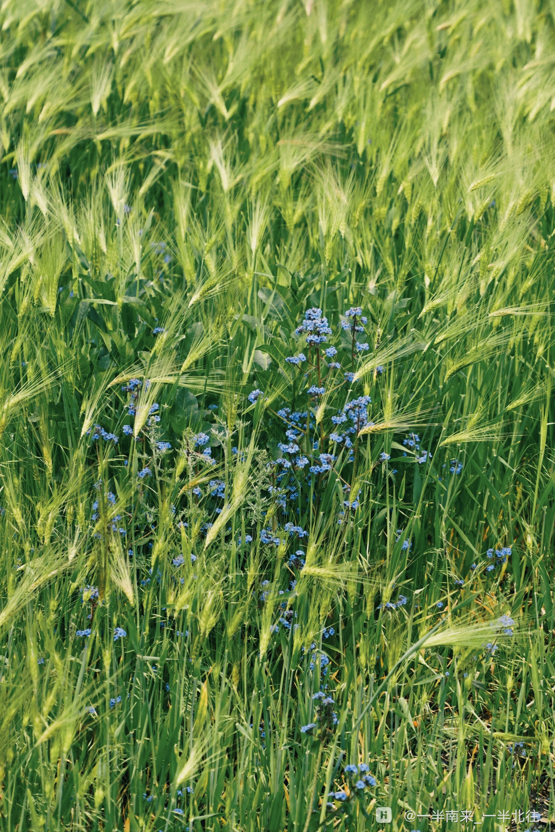 retouch_2025072201134434.jpg