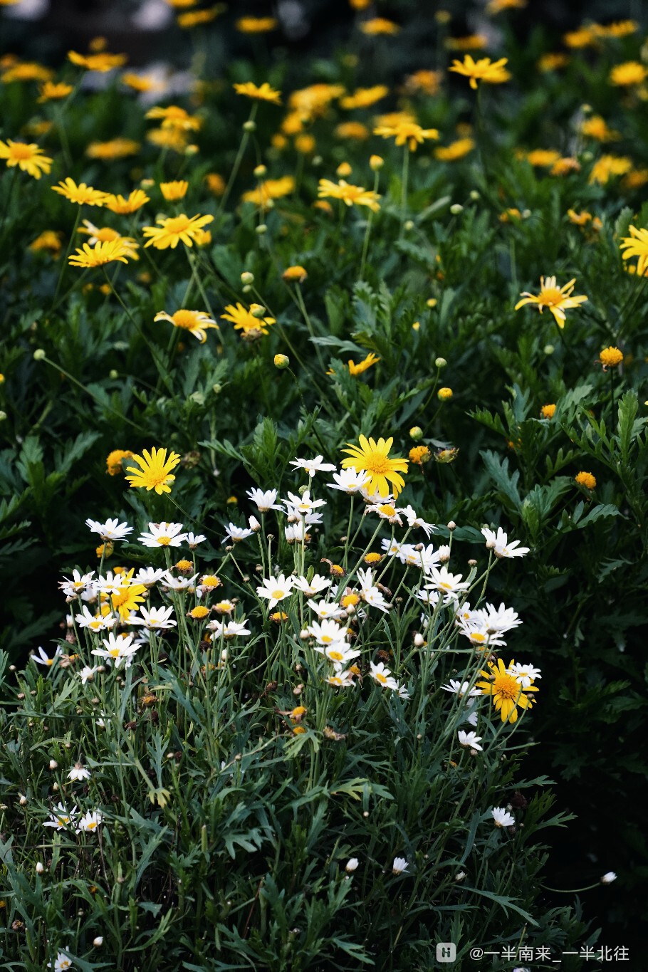 retouch_2025071600243133.jpg