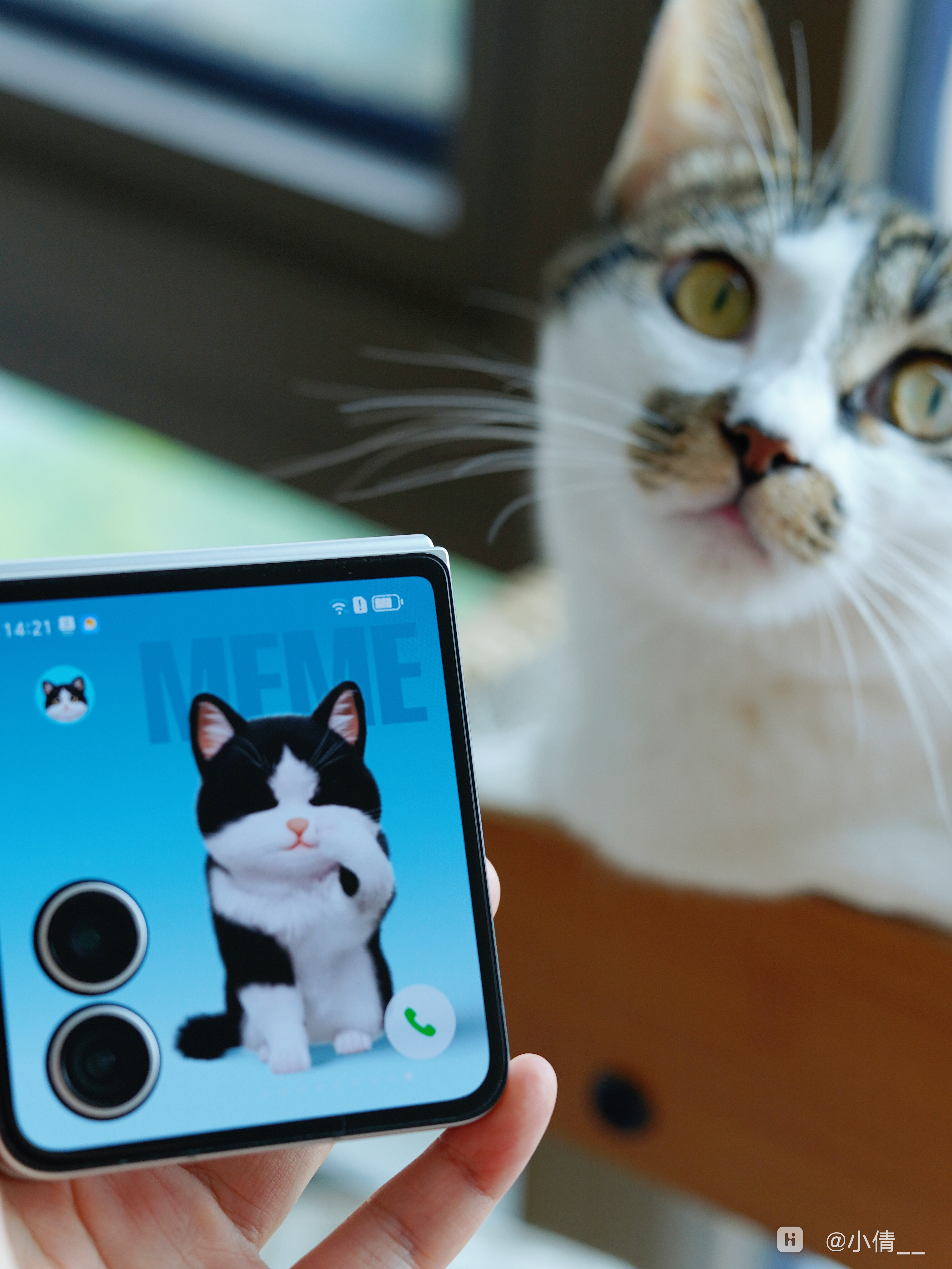 IMG_0880_edit_13030452058570.jpg