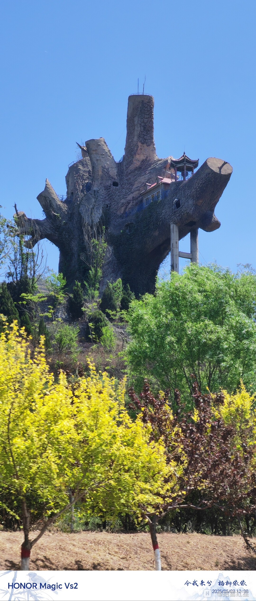 IMG_20250503_120839.jpg