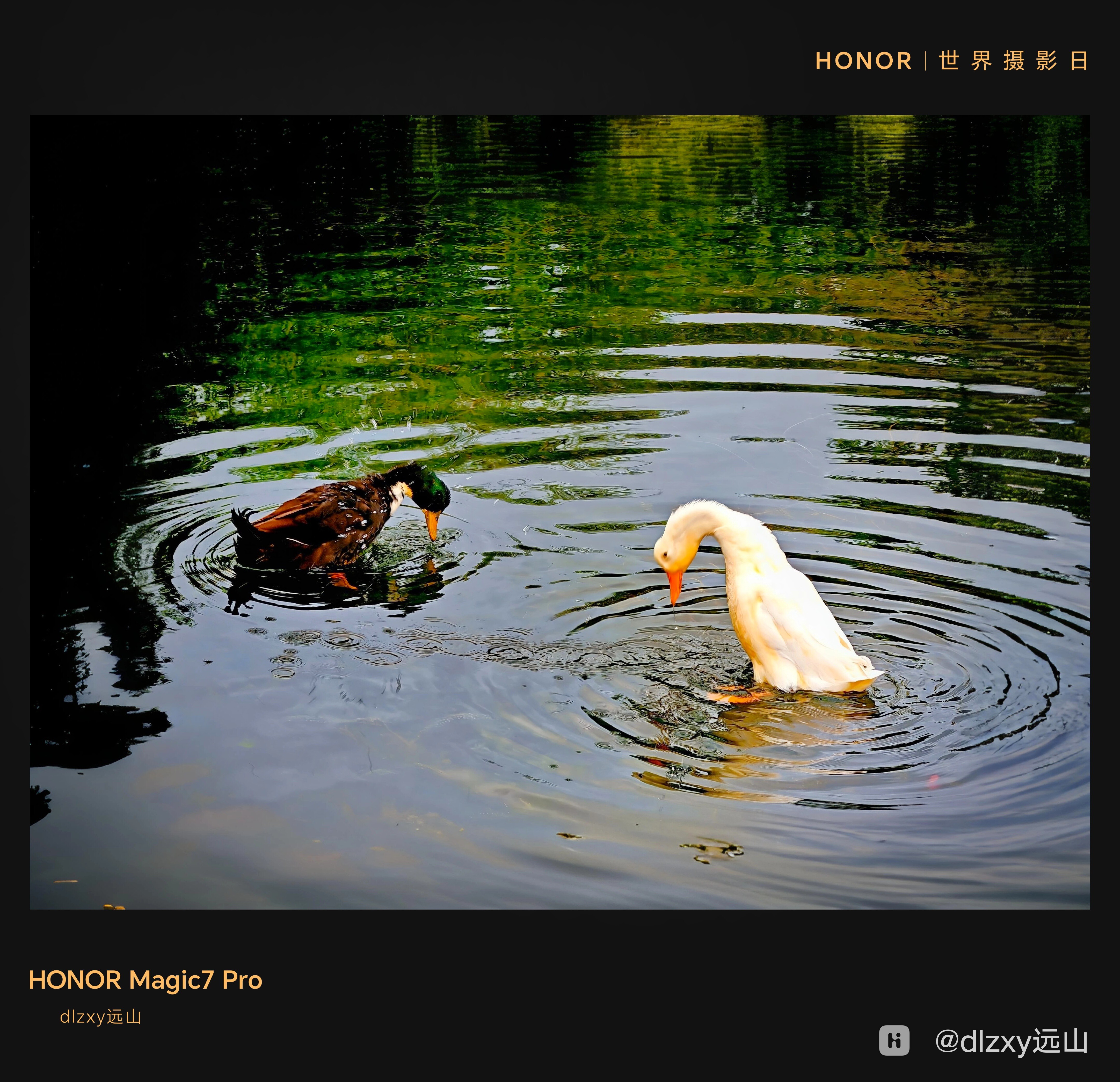 Mix_20251009_102640_edit_340605801855171 (1).jpg