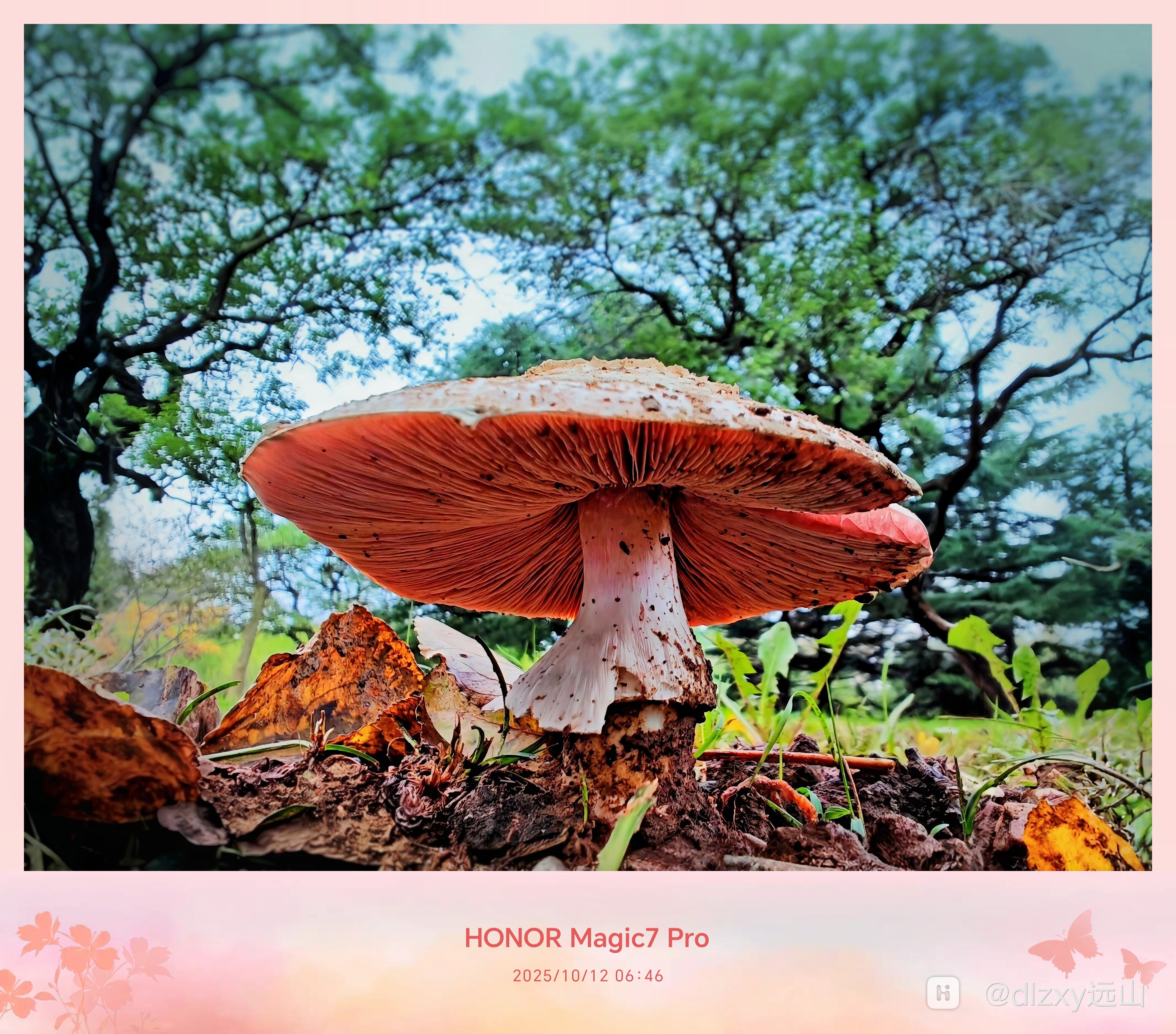 Mix_20251012_064059_edit_420532062555671 (1).jpg