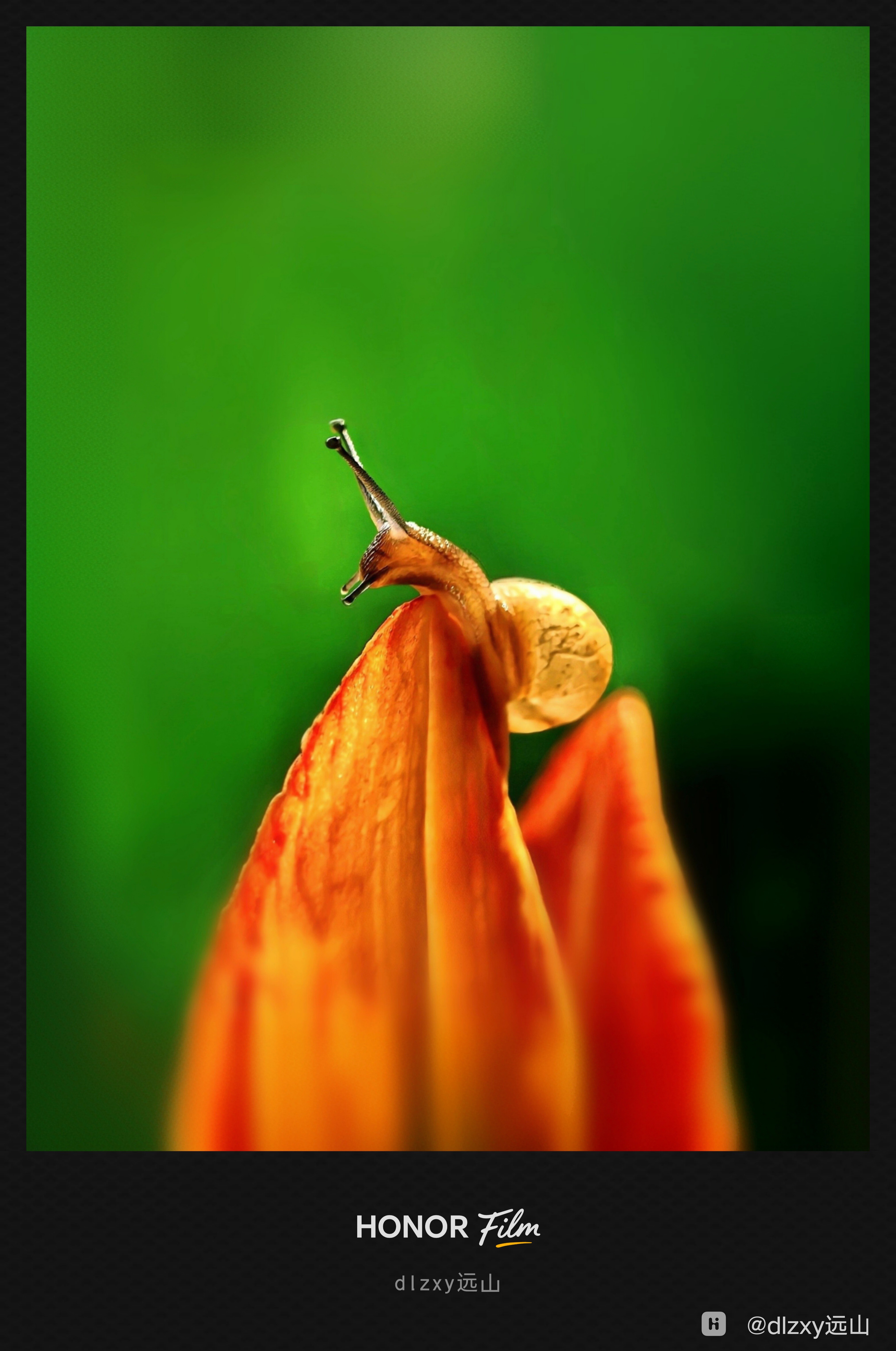 IMG_20251129_204141 (1)_edit_64467653522593 (1).jpg