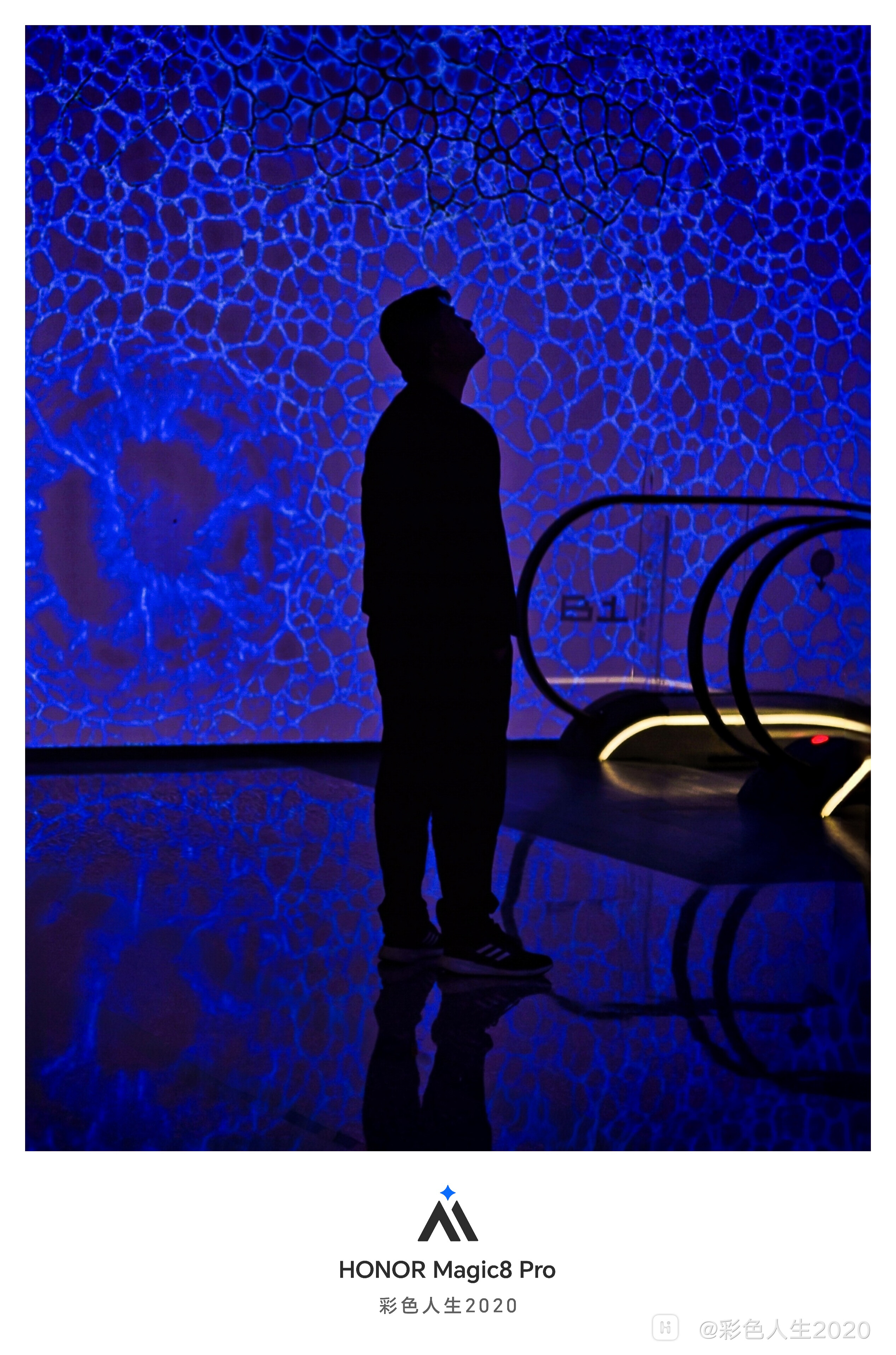 IMG_20251129_200834 (2).jpg